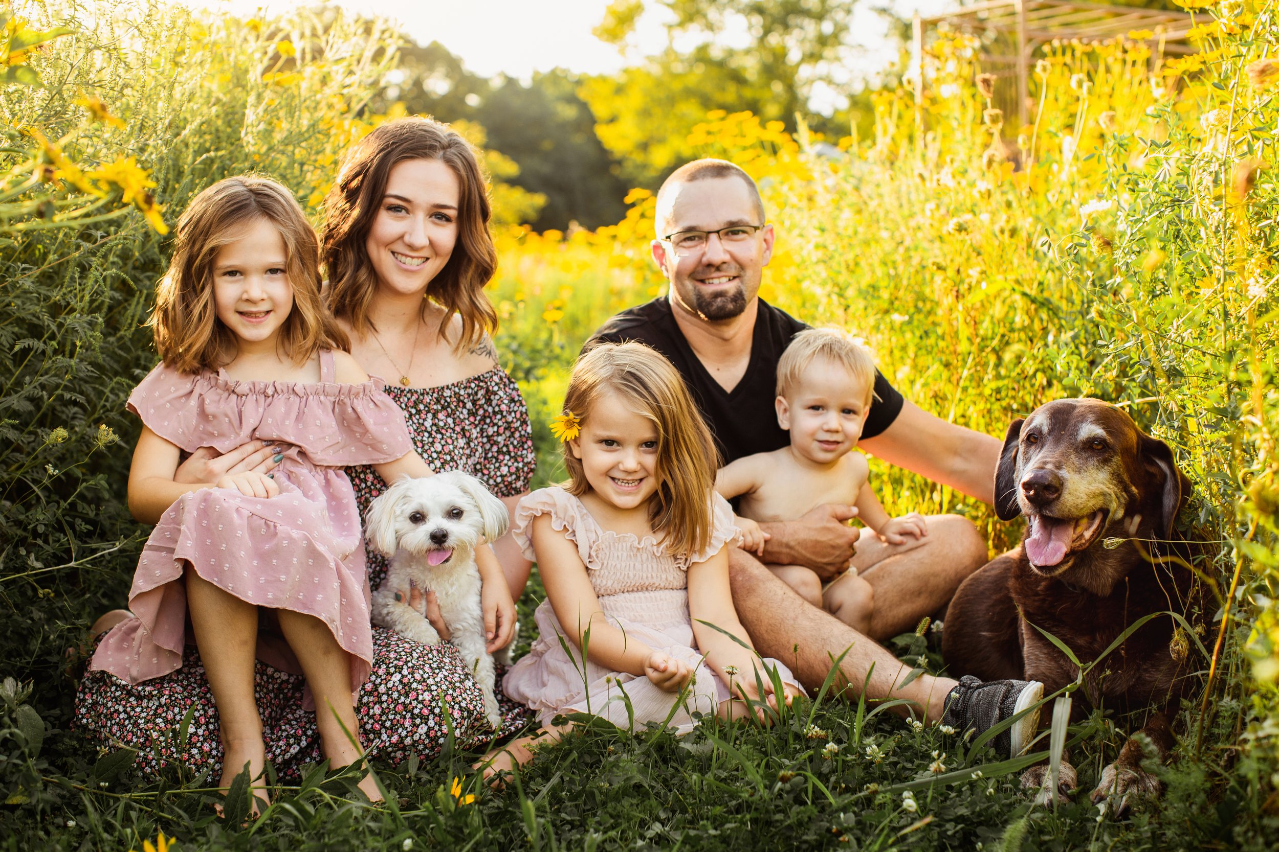  Family portrait with a young family with three kids and two dogs in yellow flowers by Teala Ward Photography. family with dogs #TealaWardPhotography #TealaWardFamilies #IllinoisRiverPhotography #IllinoisFamilyPhotography #familylifestylepics 