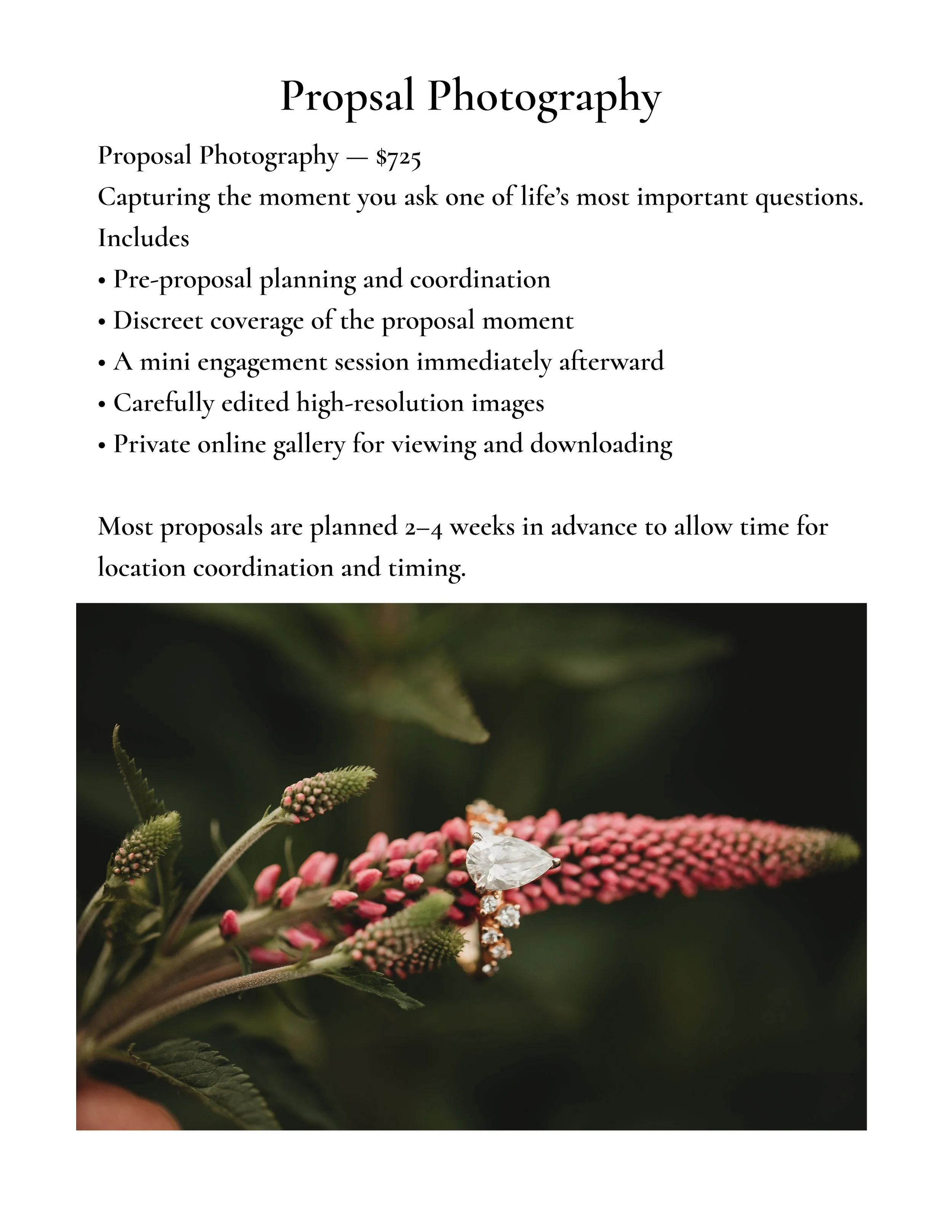 ProposalPage_3 copy.jpg