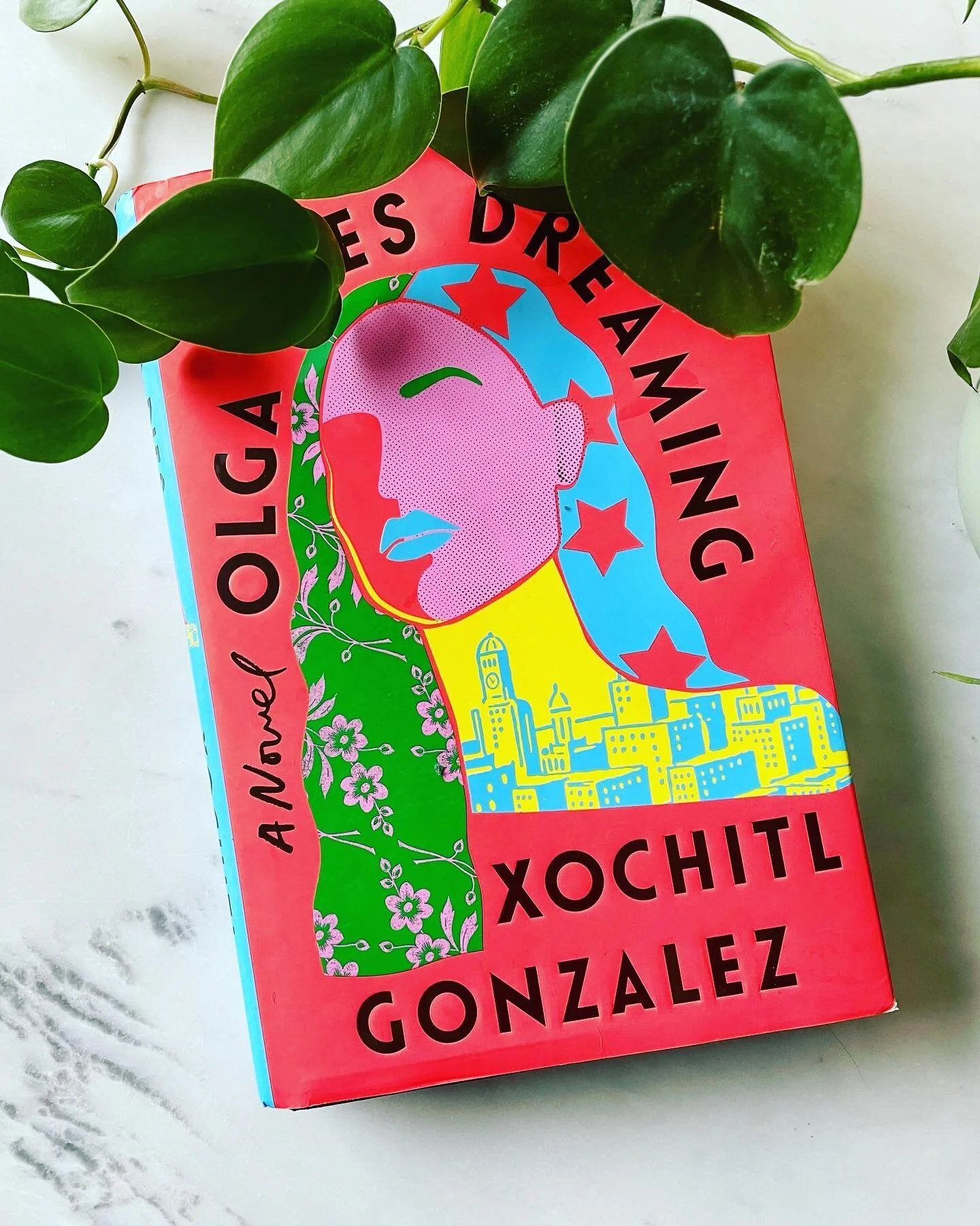 ✨book thoughts ✨

Wow, I loved this book! The writing was beautiful. The characters layered. The insights like 💯
✨
I&rsquo;ve often heard the phrase, &ldquo;Revolutionaries make bad fathers (mothers).&rdquo; It has been this dichotomy that I&rsquo;v
