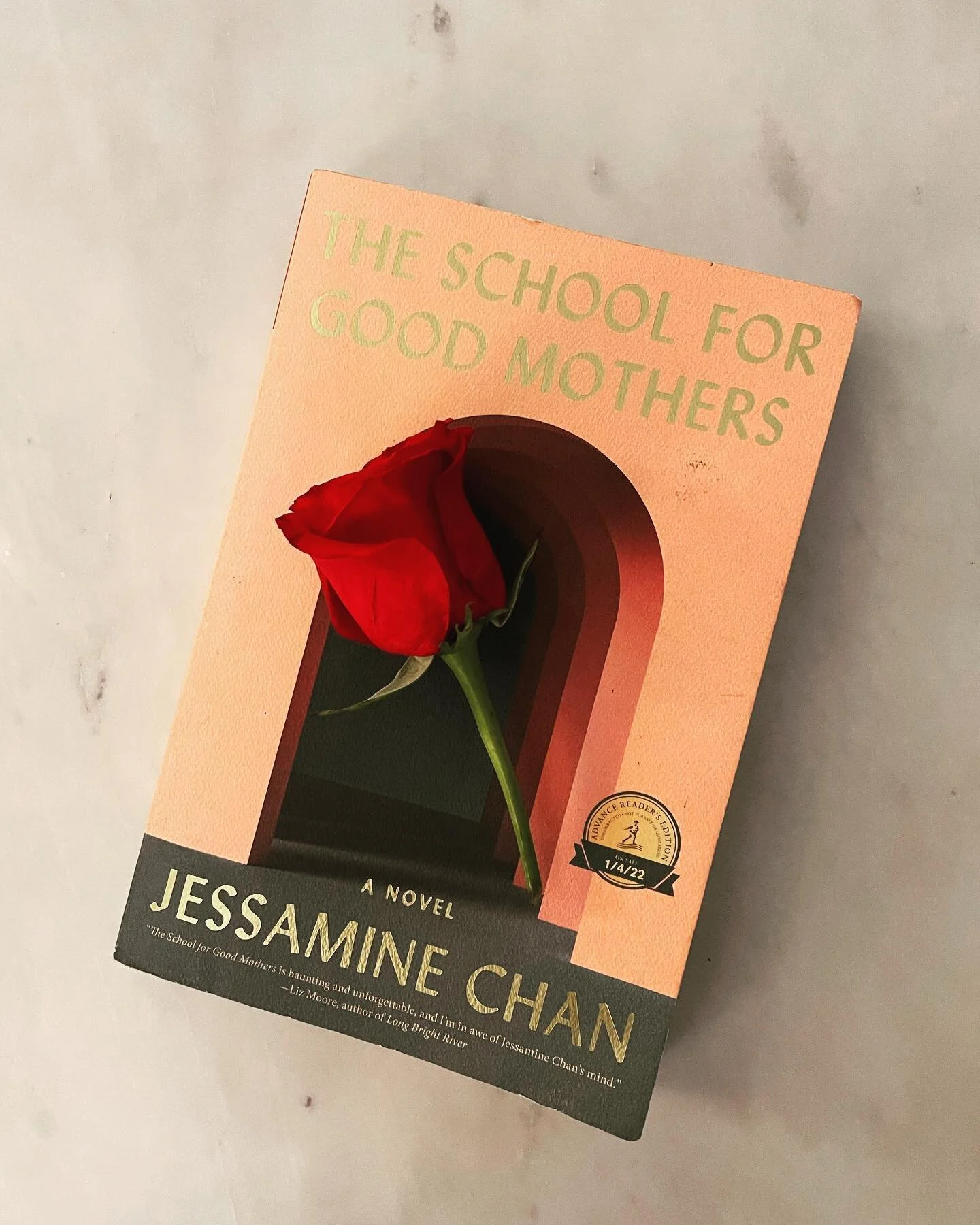 ✨ book thoughts ✨

Y&rsquo;all.

That&rsquo;s it, that&rsquo;s the review 😅

I&rsquo;ve seen this one making the rounds, often with an advisory for new mothers. Perhaps having 8-year-olds still qualifies me as a &ldquo;new mother&rdquo; because phew