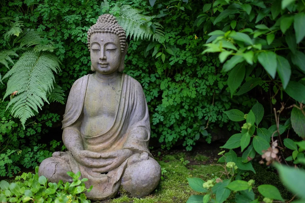 Meditation Q&amp;A Program - Part 1