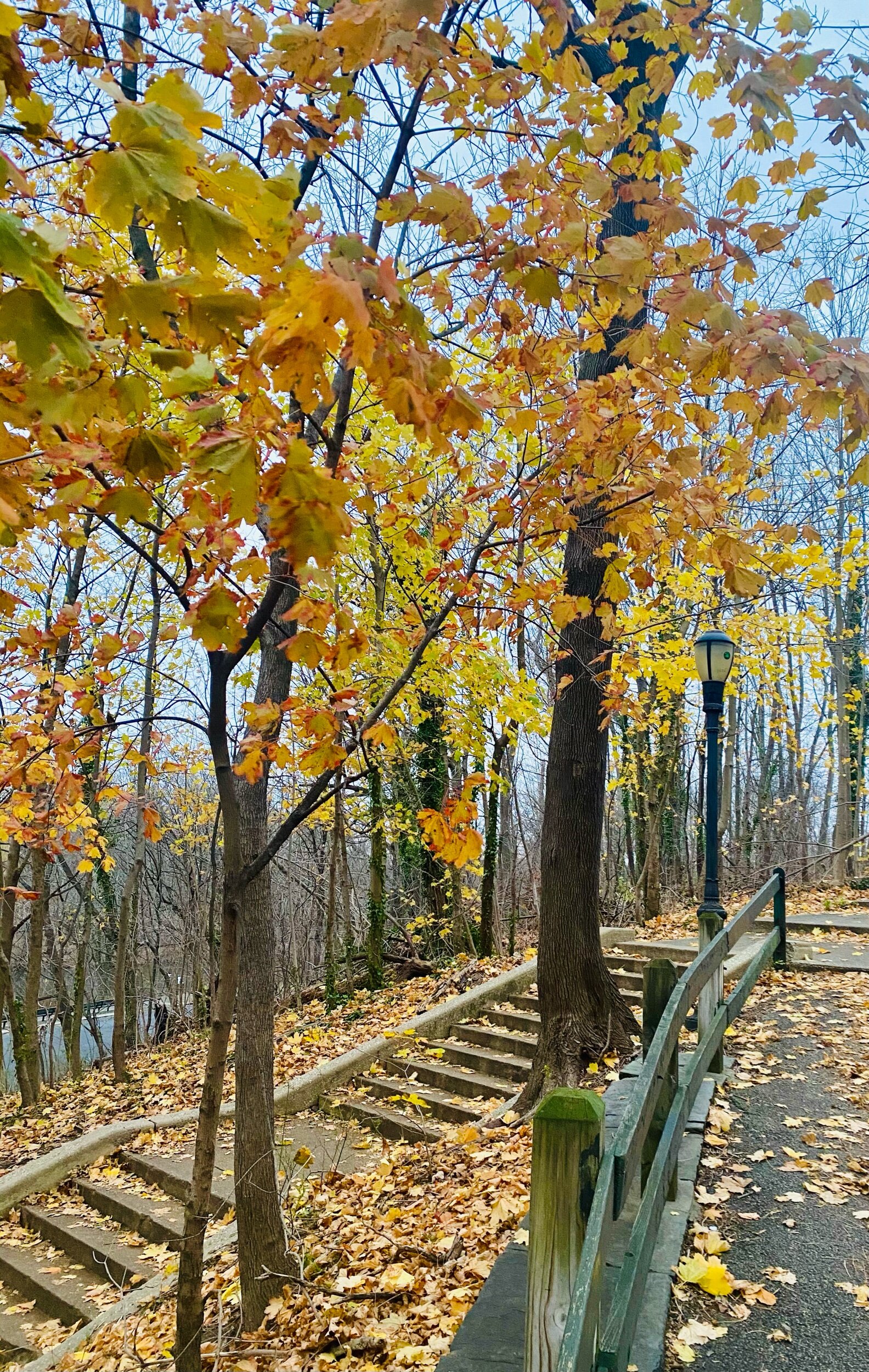 Park Stairway