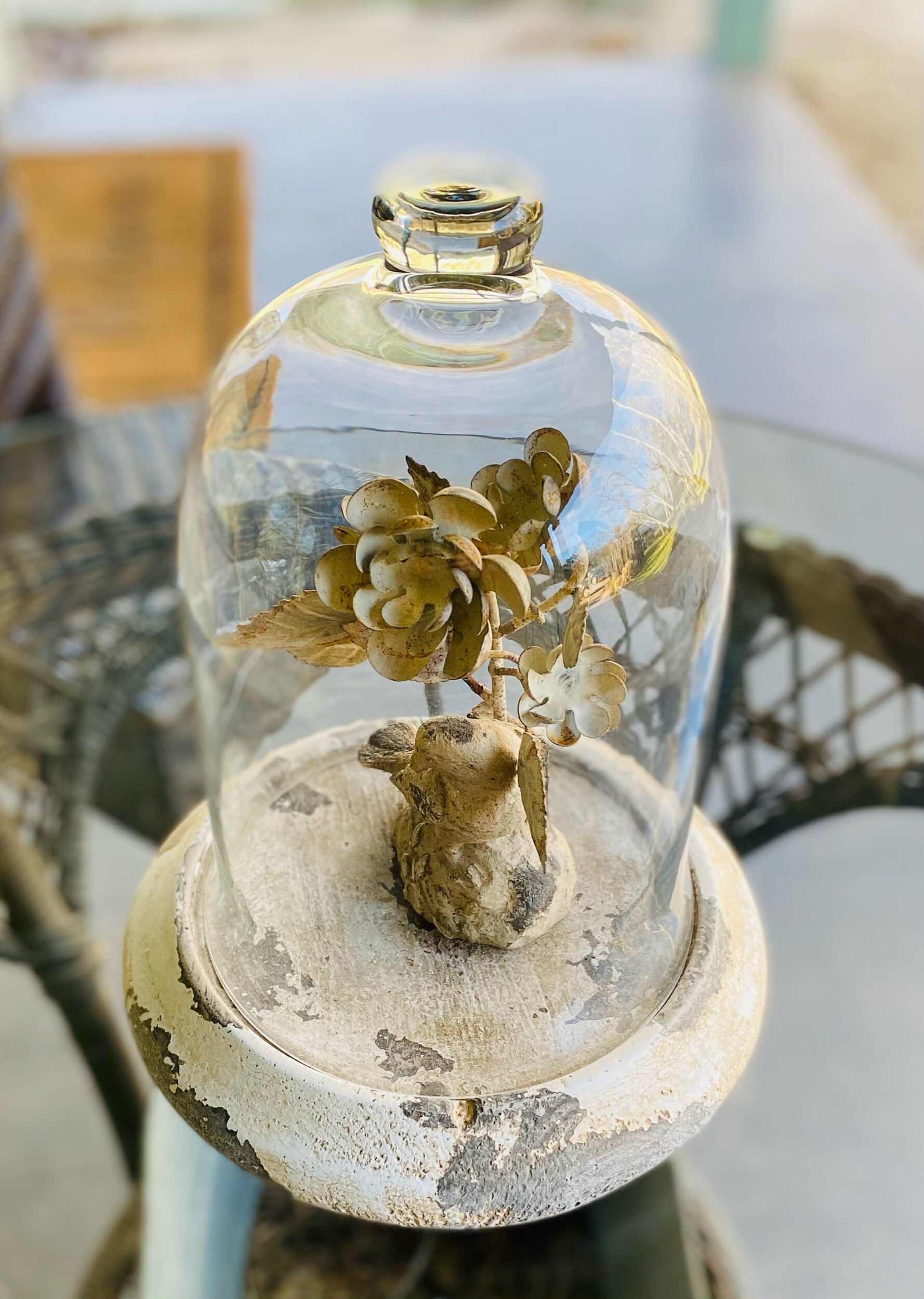 Outdoor Cloche