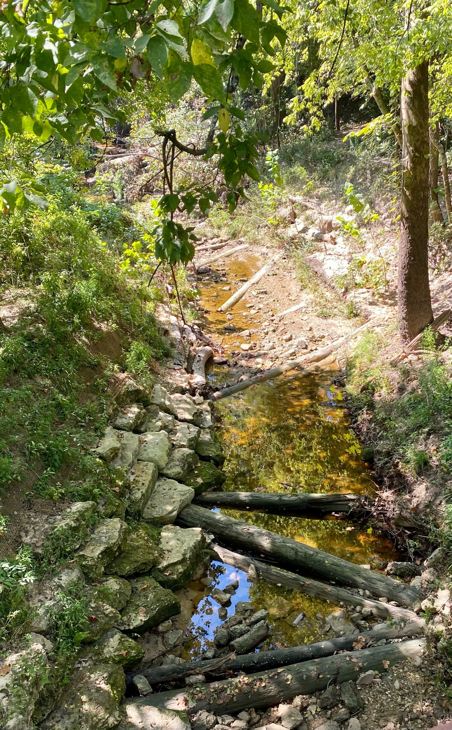 Creekside