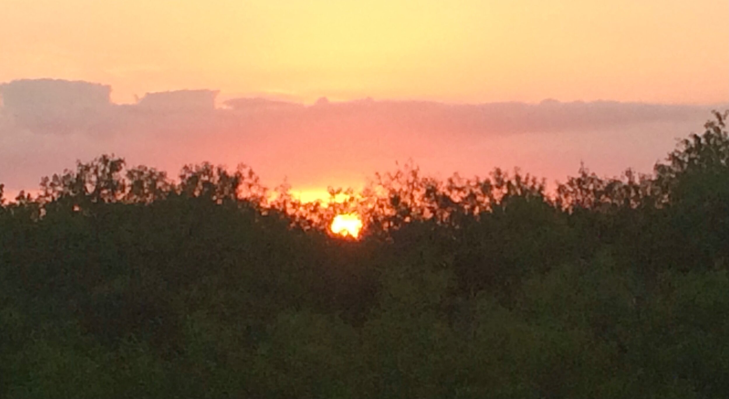 IMG_1675.jpeg