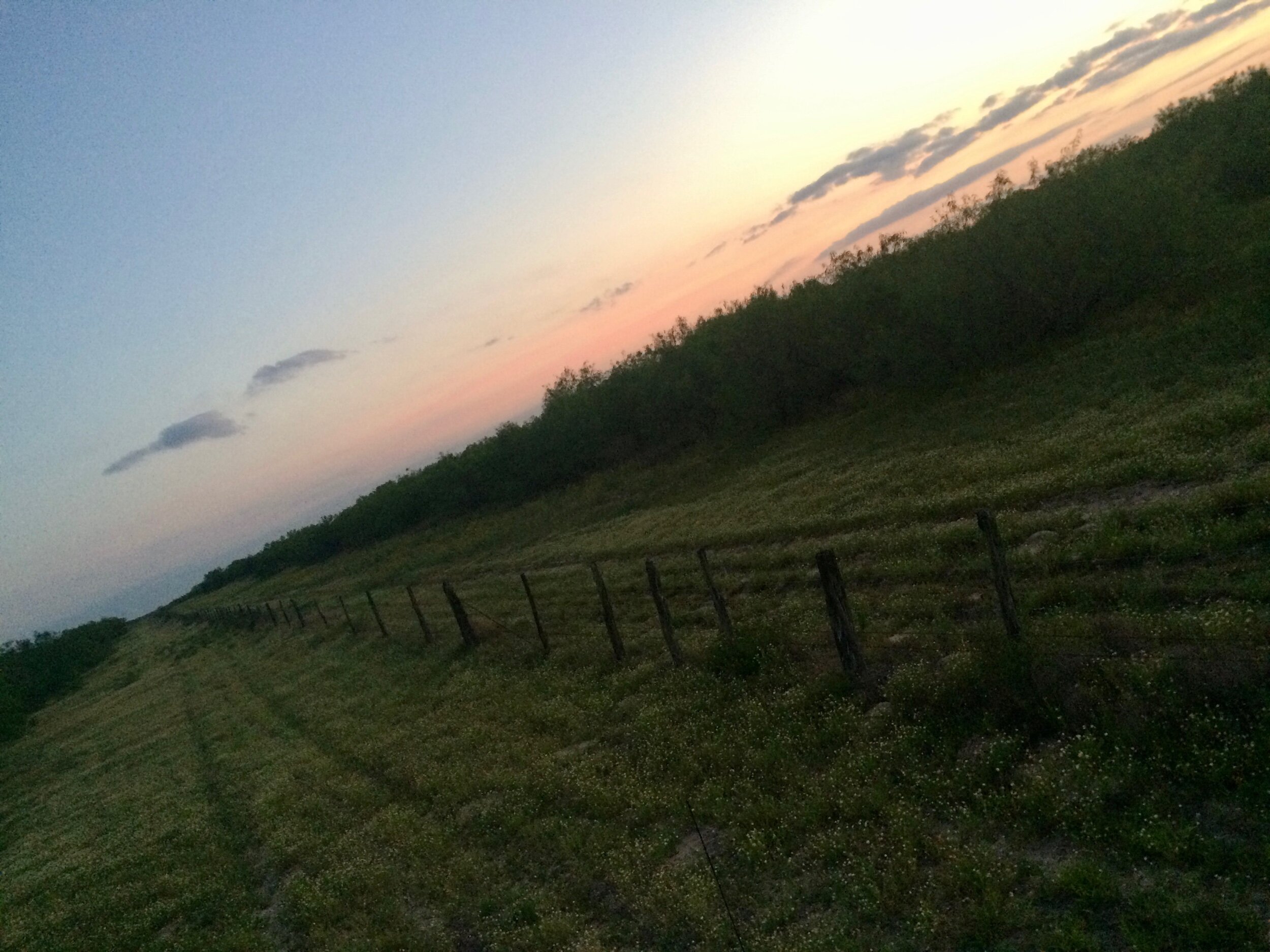 IMG_1666.jpeg