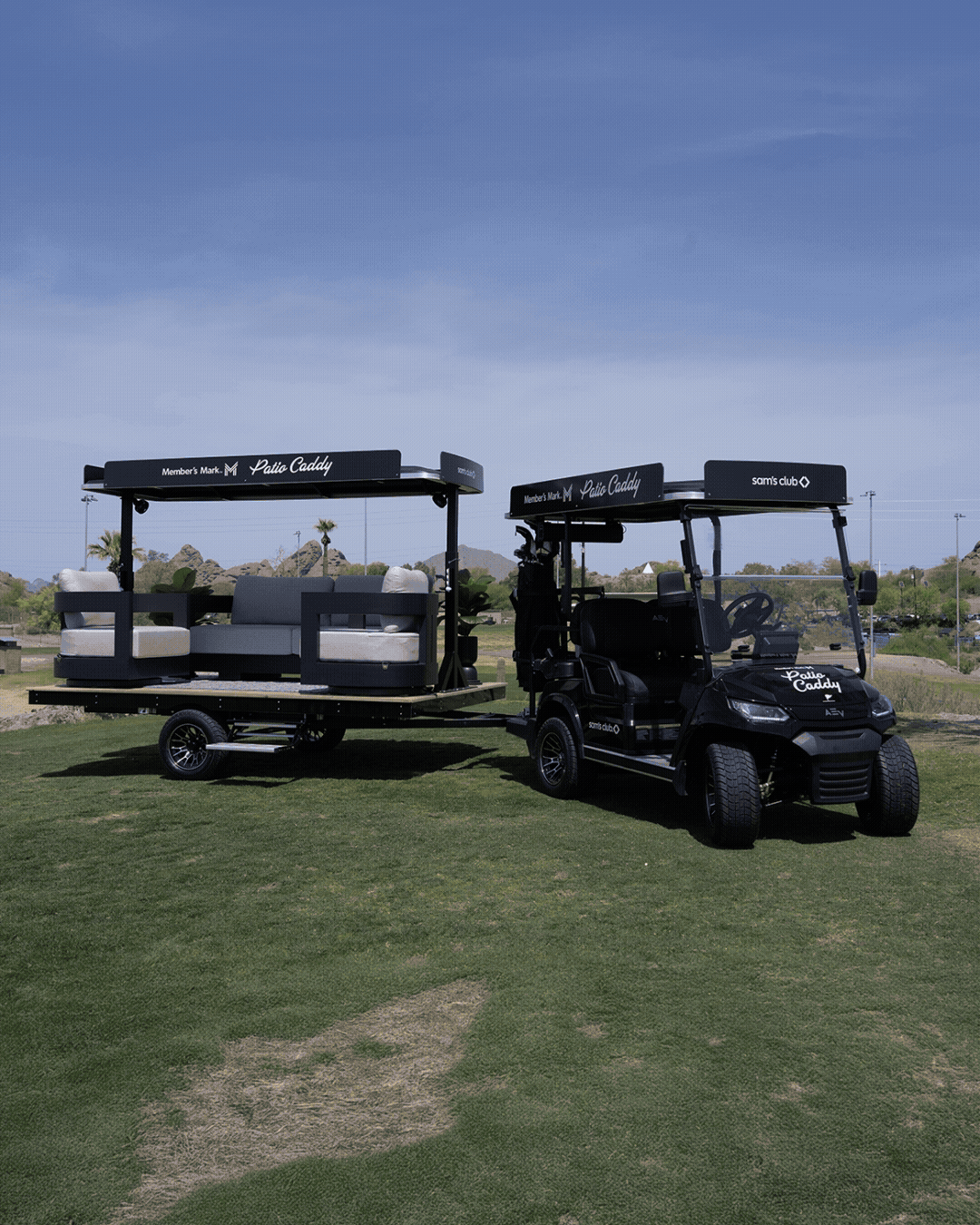 Cart_RetouchedPhoto.gif