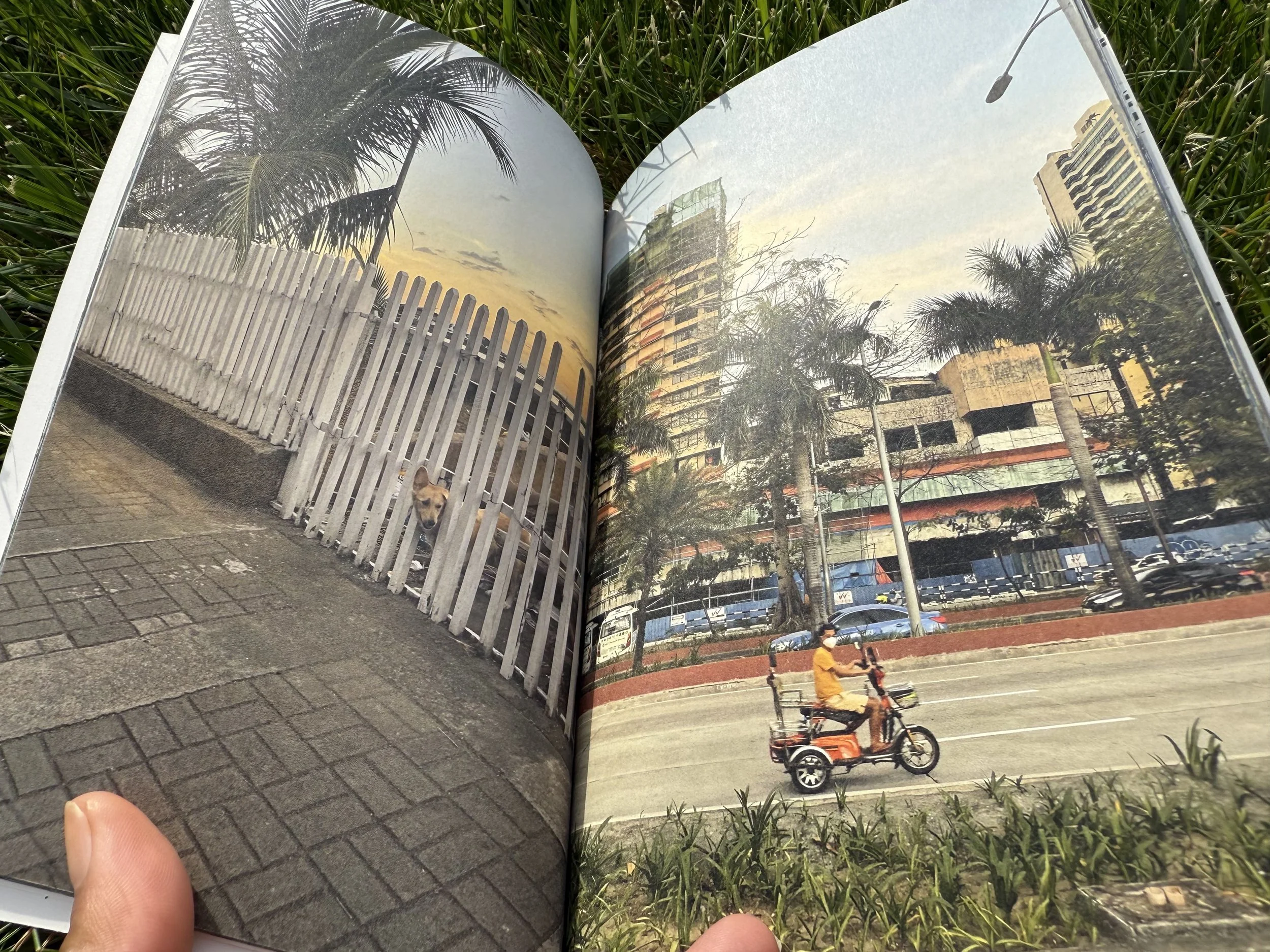 Calamansi_inside cover 2.jpg