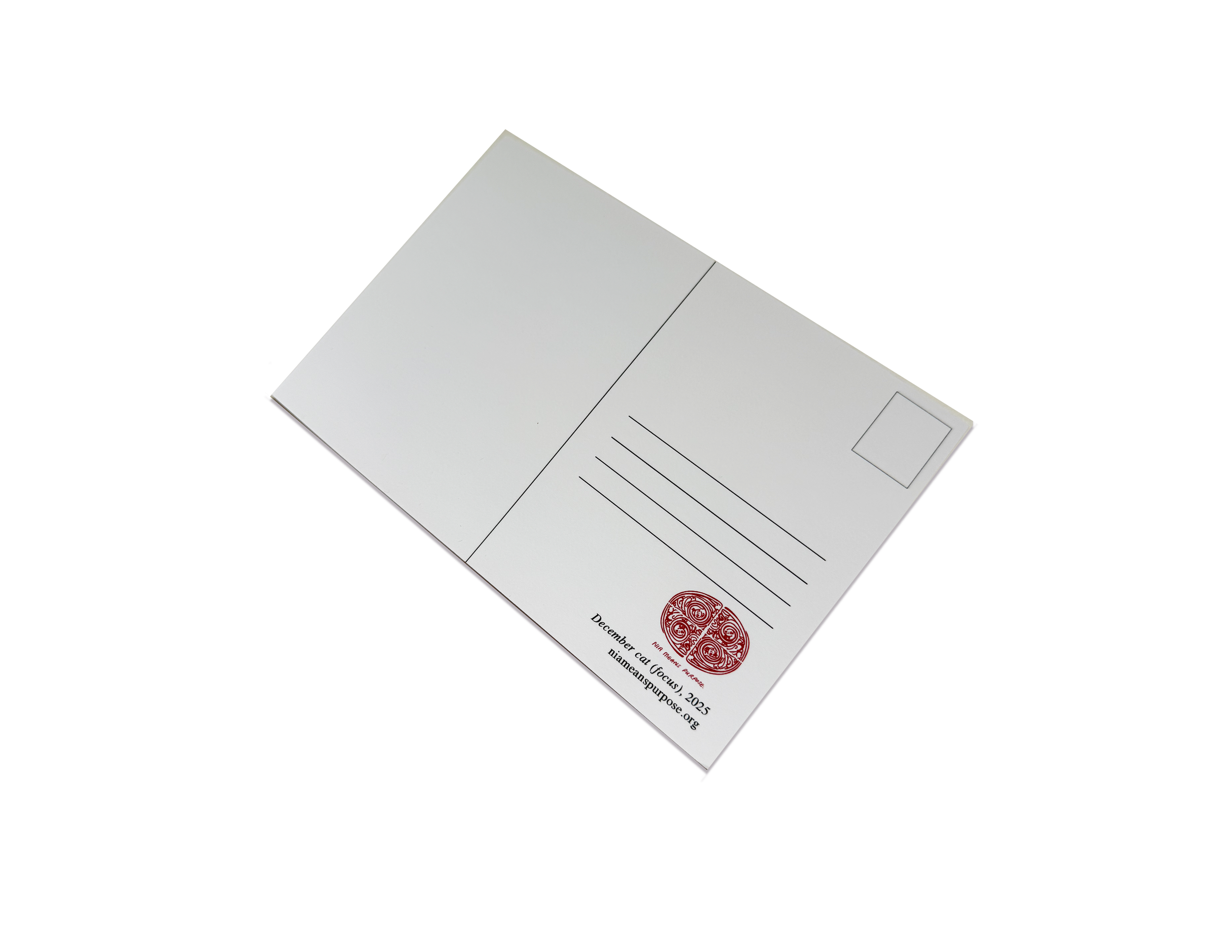 2025 december cat display back.png