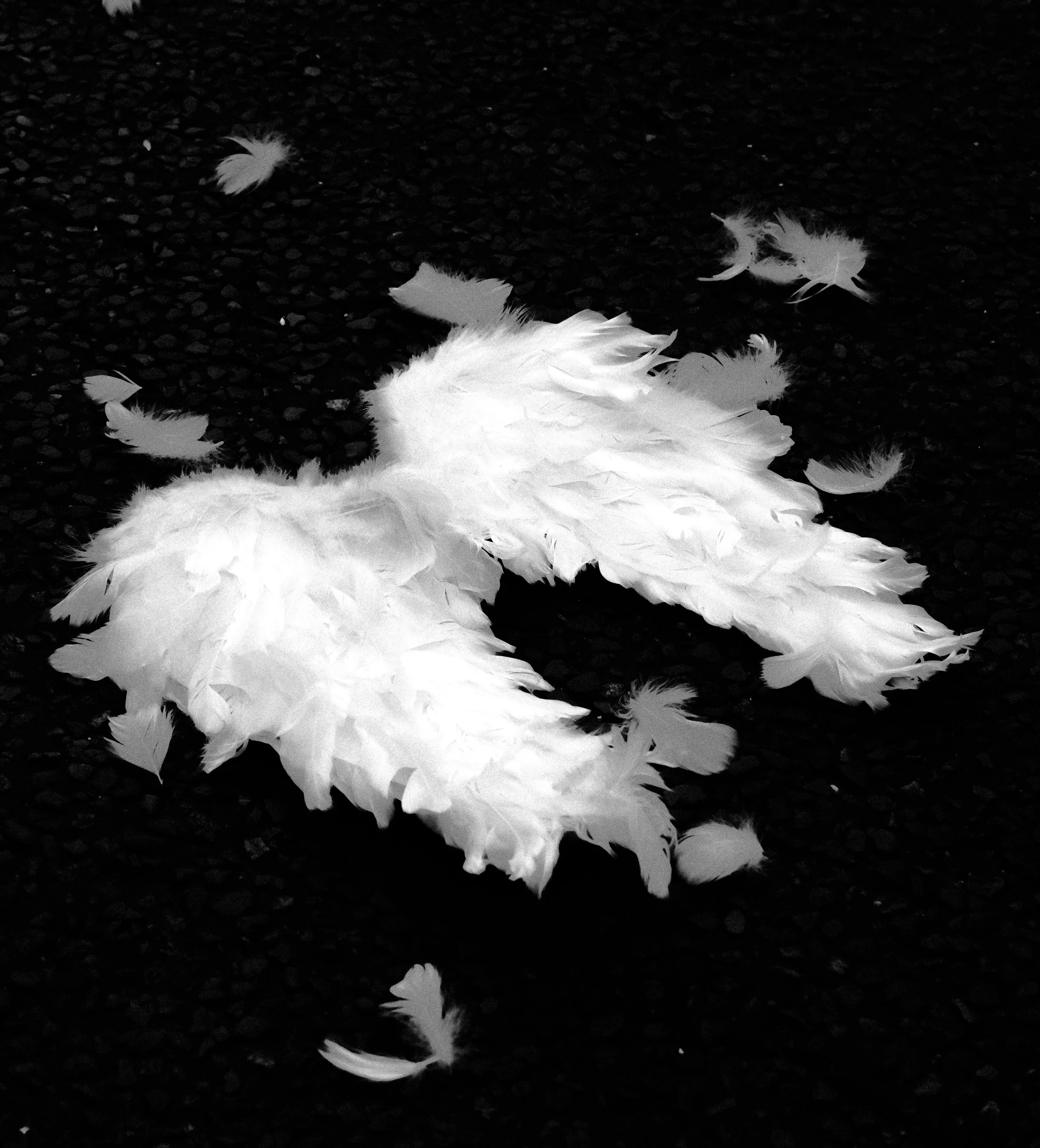 DSCF5149.jpg