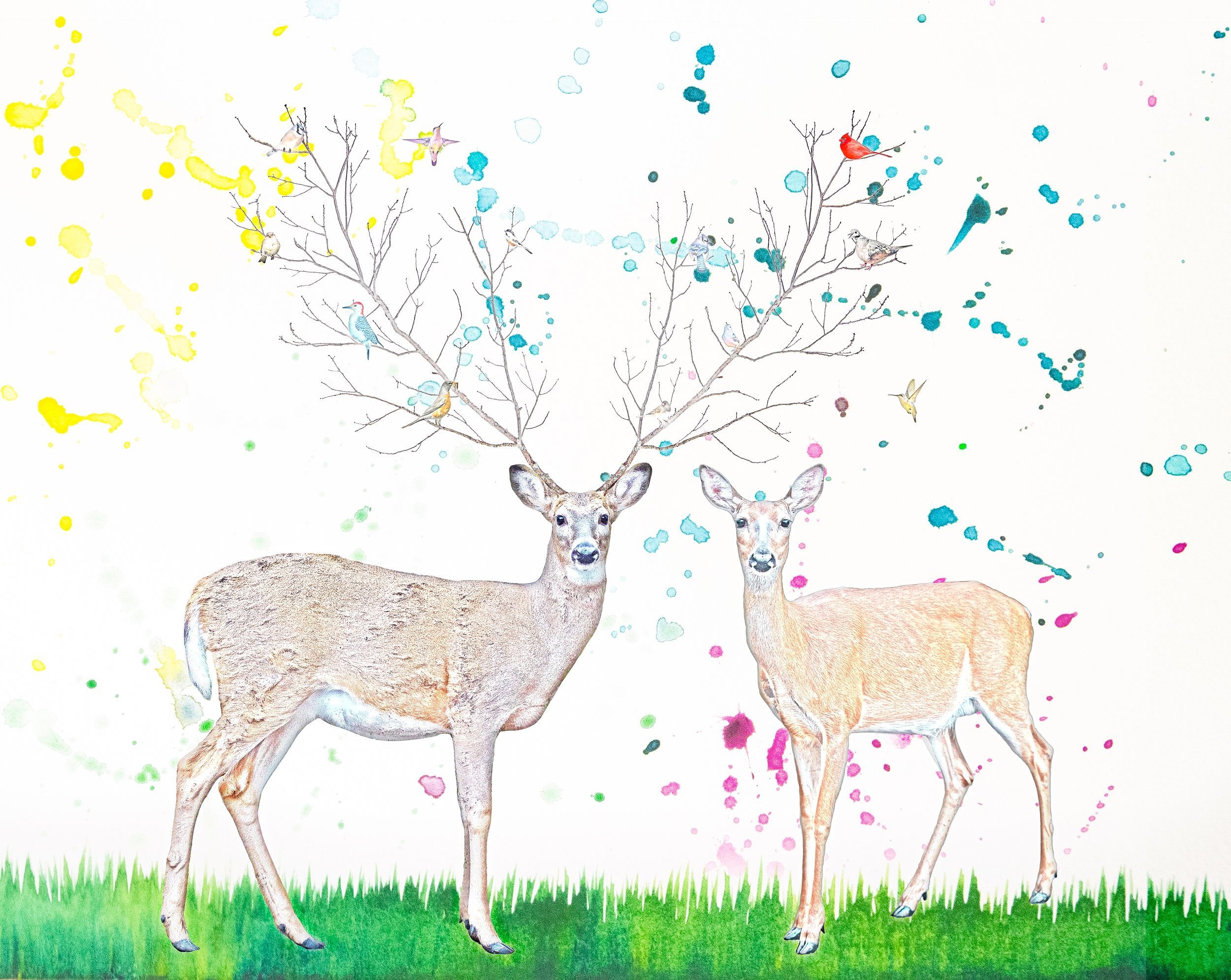 Deer+Birds+-sm.jpg