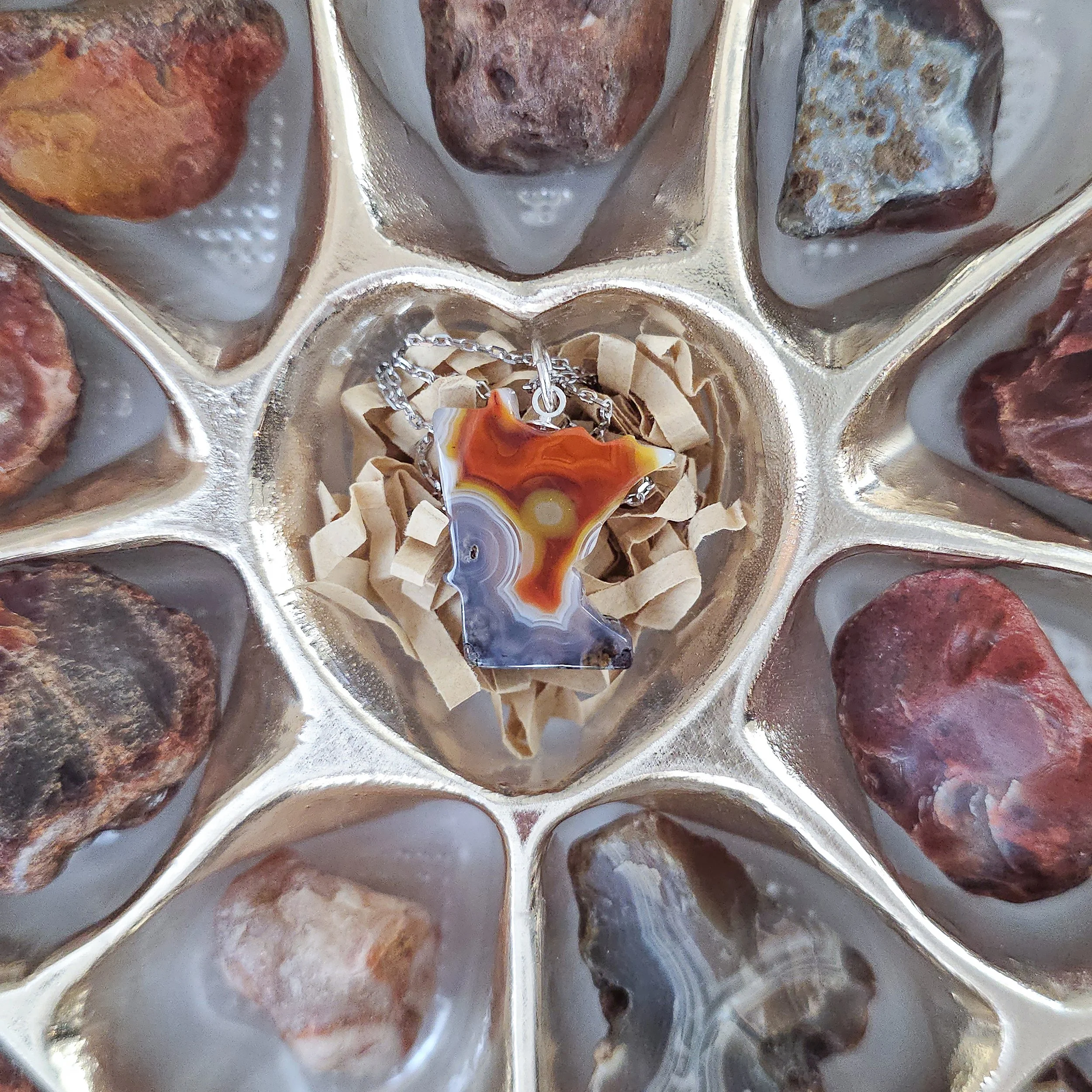 20260123_143509 copy.jpg