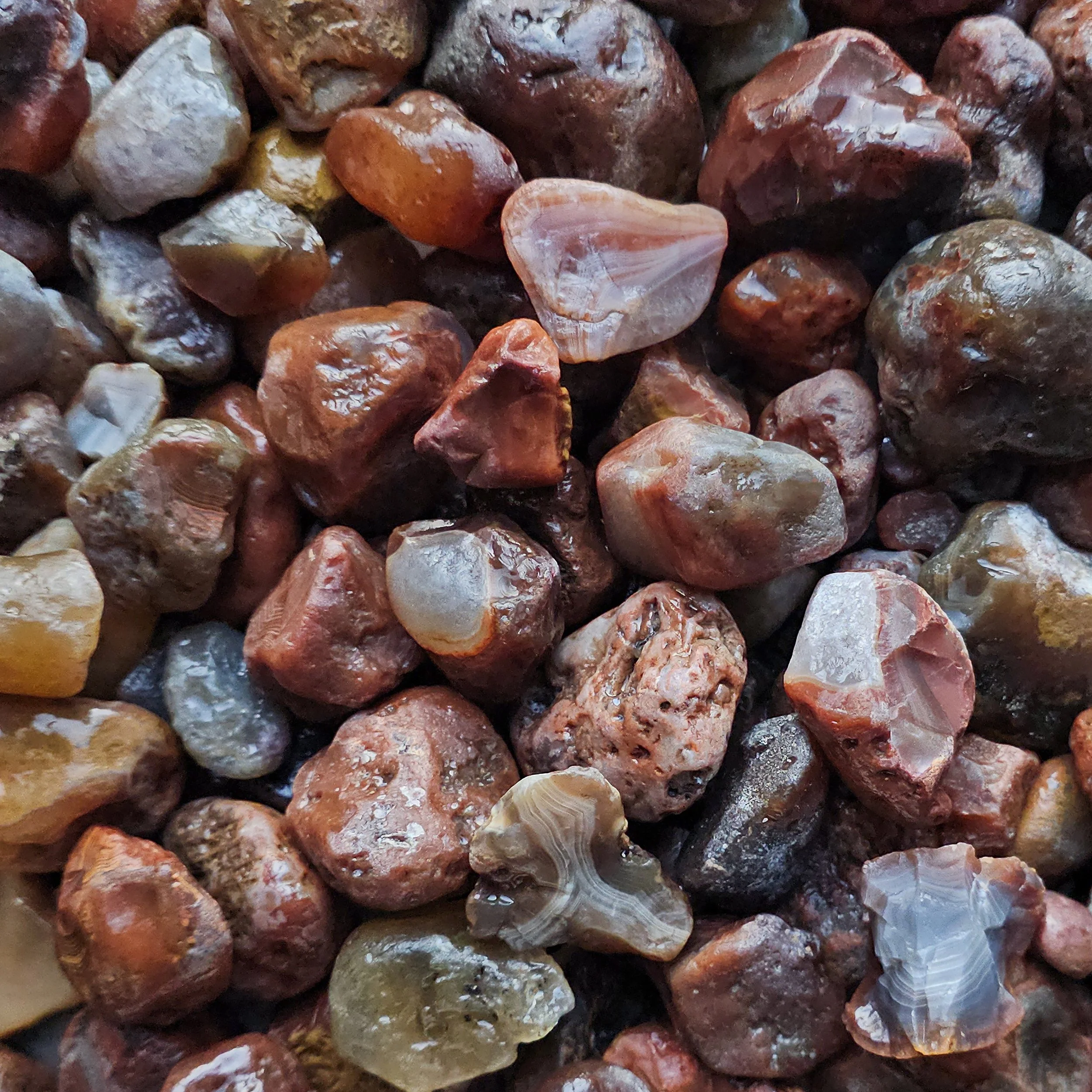 20260123_080641 copy.jpg