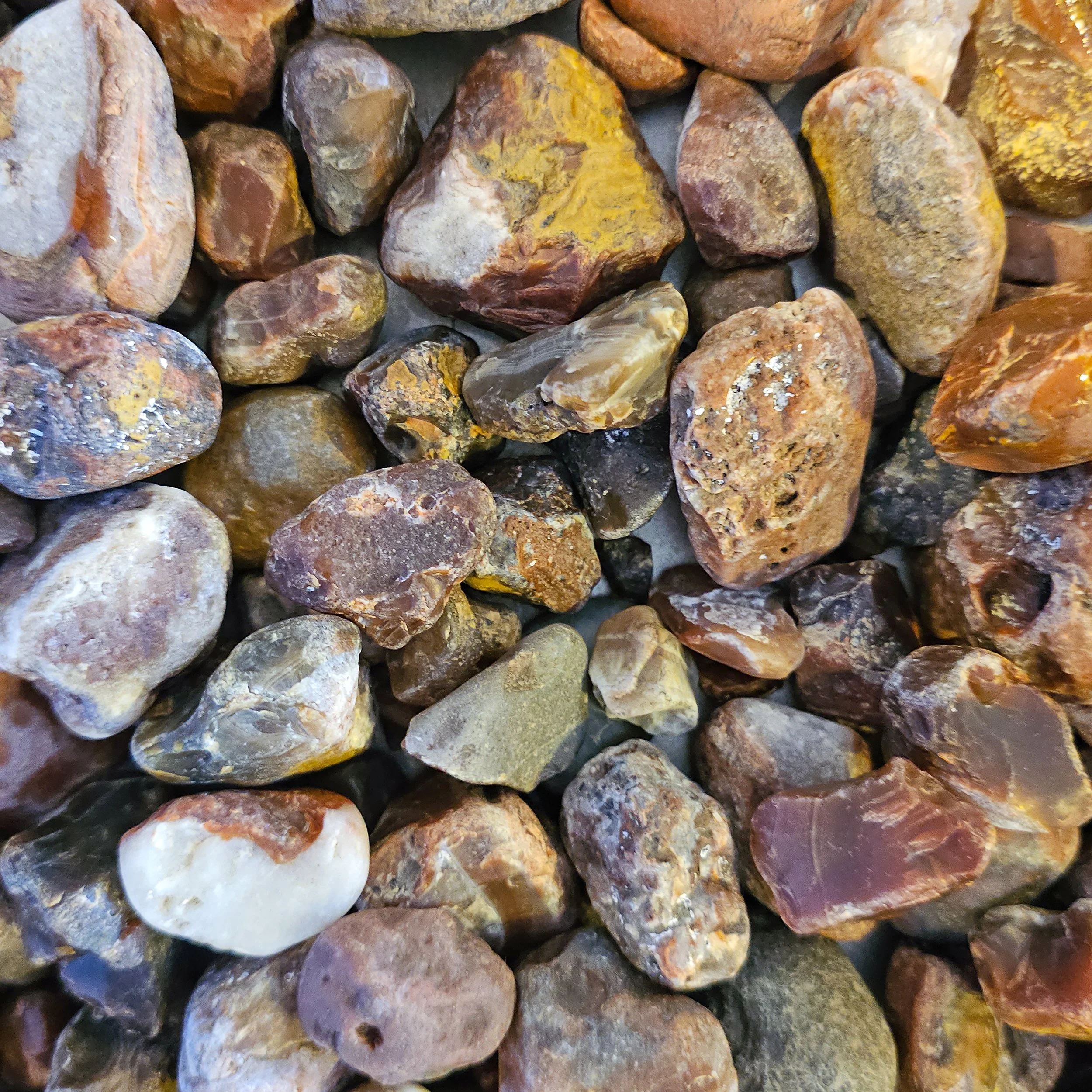 20260123_141303 copy.jpg