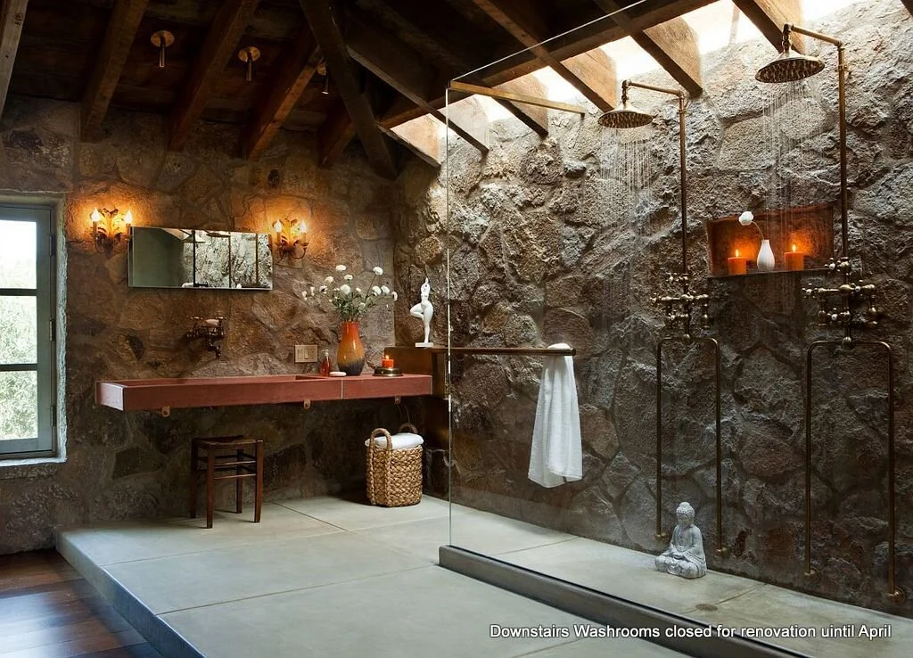Ugly duckling downstairs washrooms to get Swan renovation!
