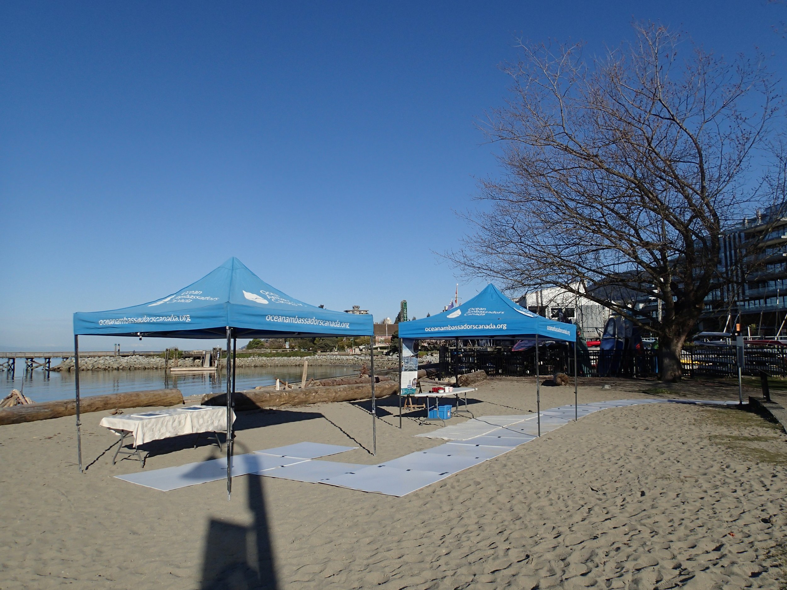 Ambleside Beach Cleanup (6).JPG