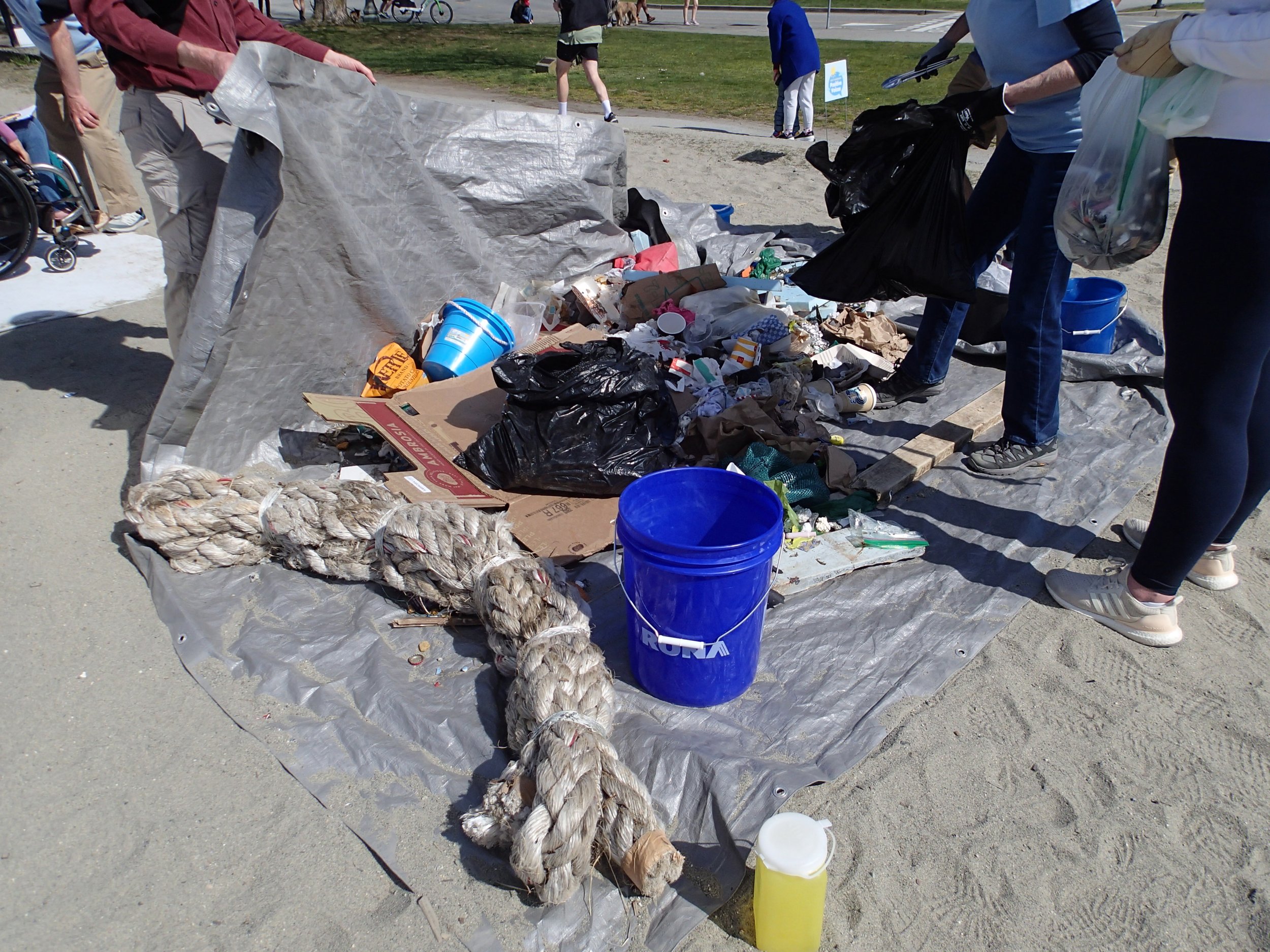 Ambleside Beach Cleanup (55).JPG