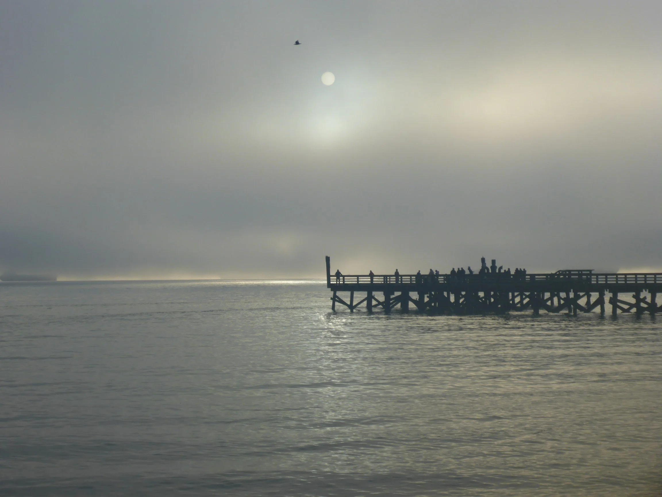 Out of the Fog of 2025 into the Sun of 2026