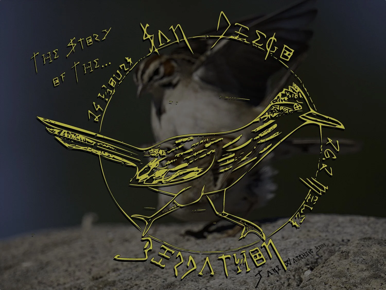 The Story of the  Birdathon