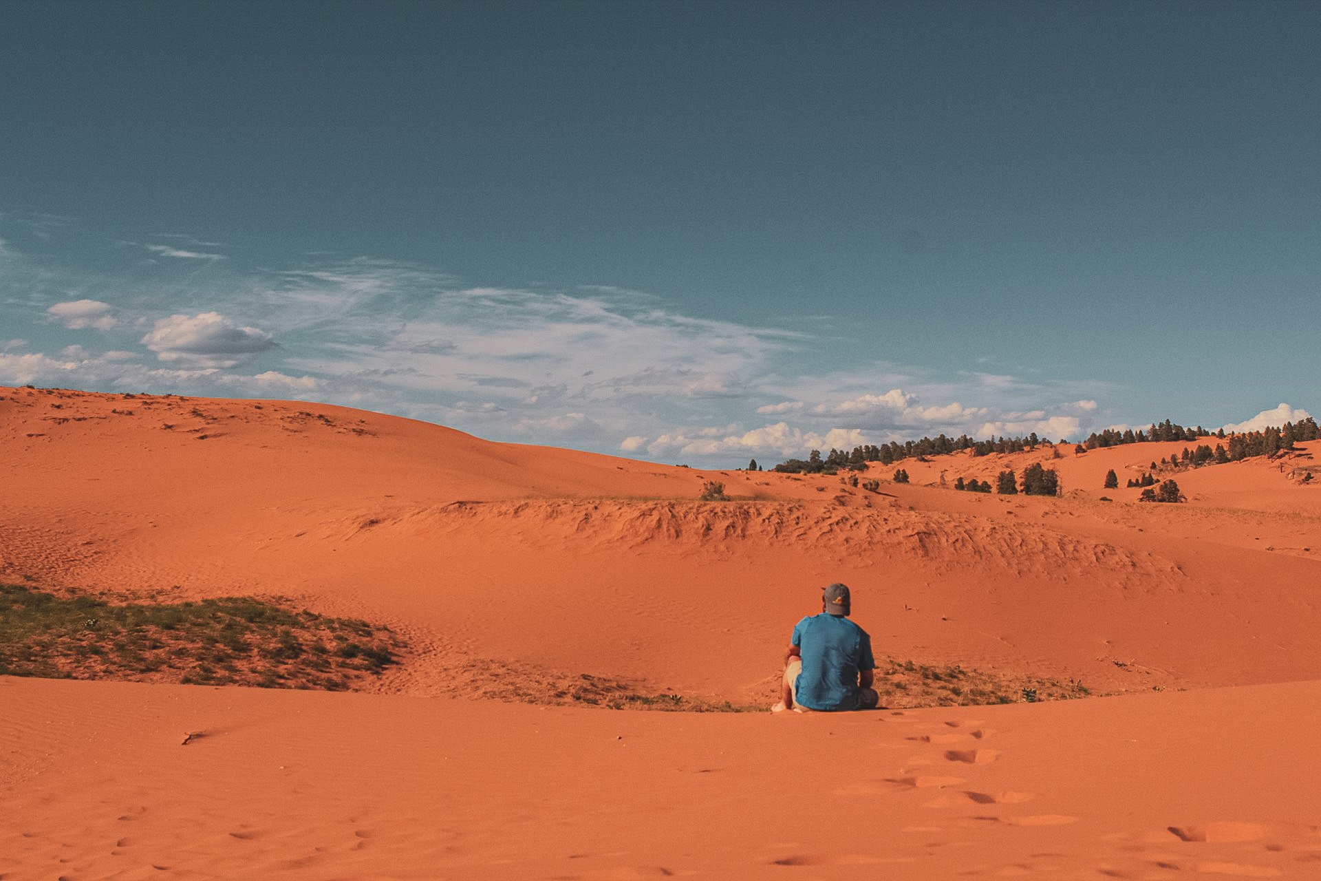 Coral Pink Sand Dunes:
Utah