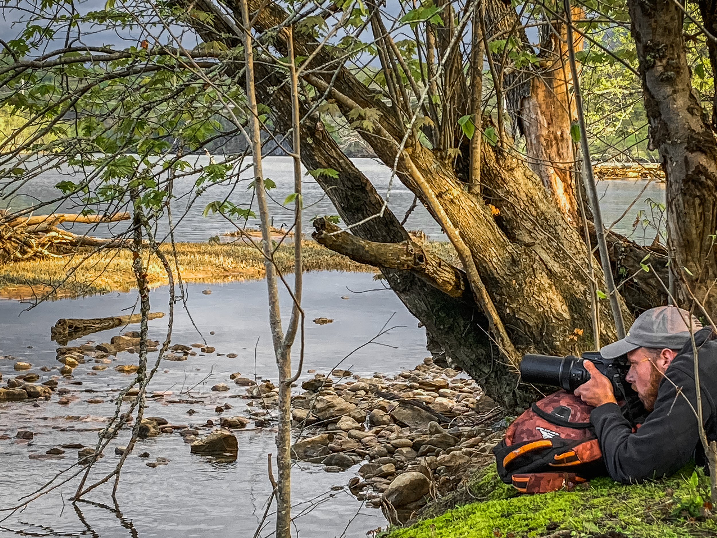 Seven Islands State Birding Park:
Tennessee