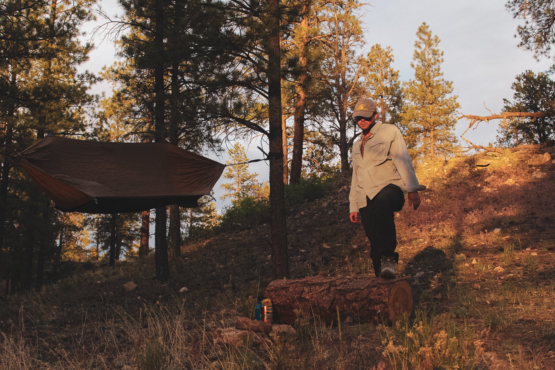Kaibab National Forest:
Arizona
