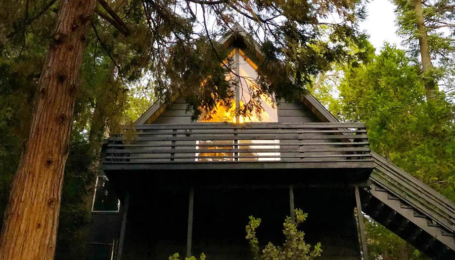 PetFriendly Cabin Rentals in Idyllwild, California