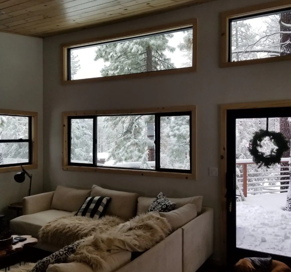 PetFriendly Cabin Rentals in Idyllwild, California