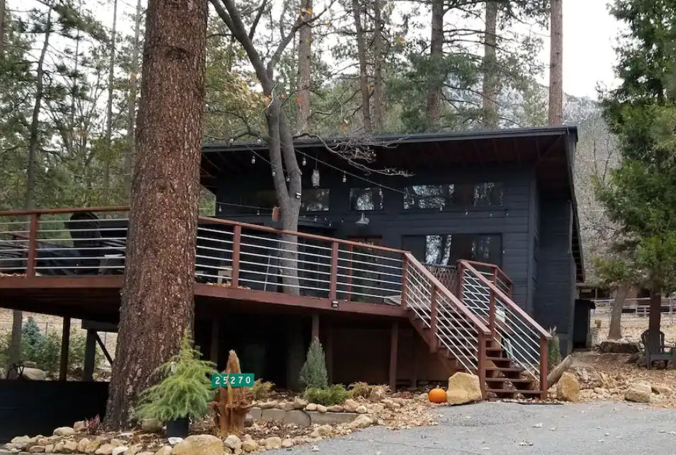 PetFriendly Cabin Rentals in Idyllwild, California