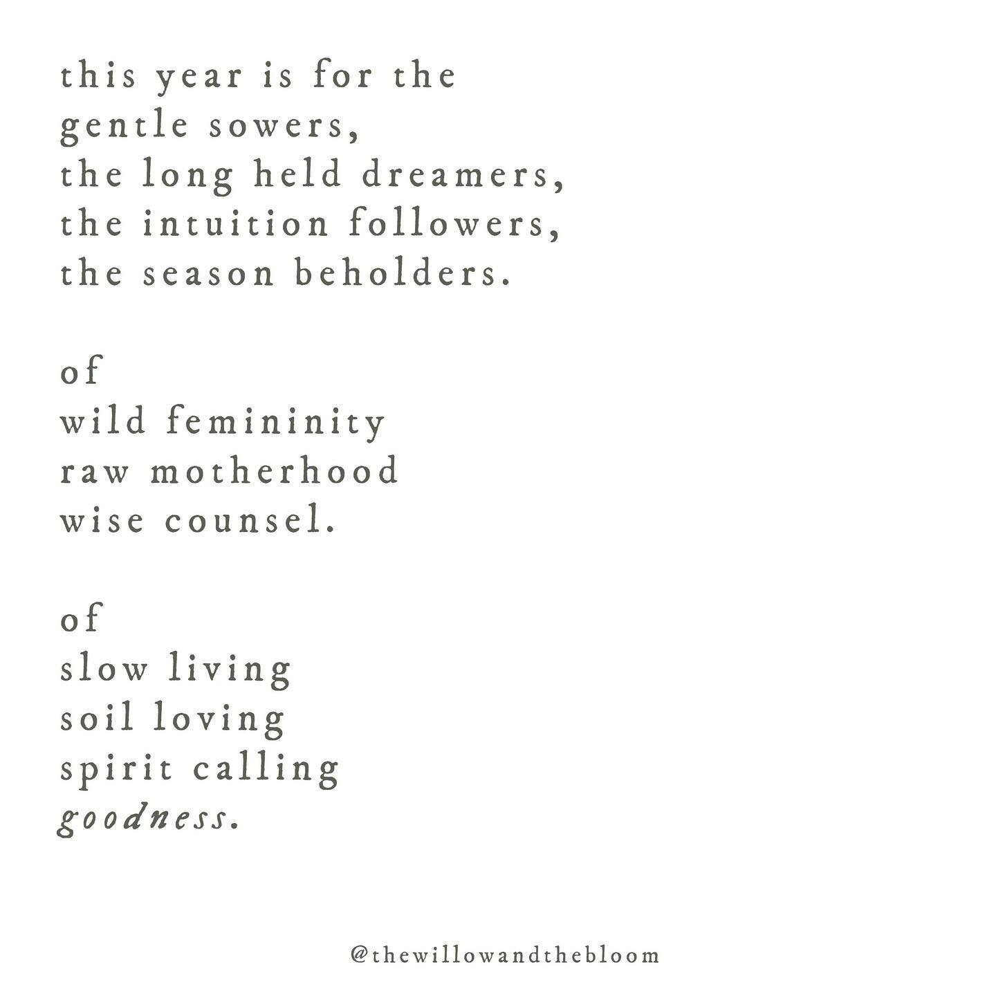🌱🌱🌱 #thewillowandthebloom