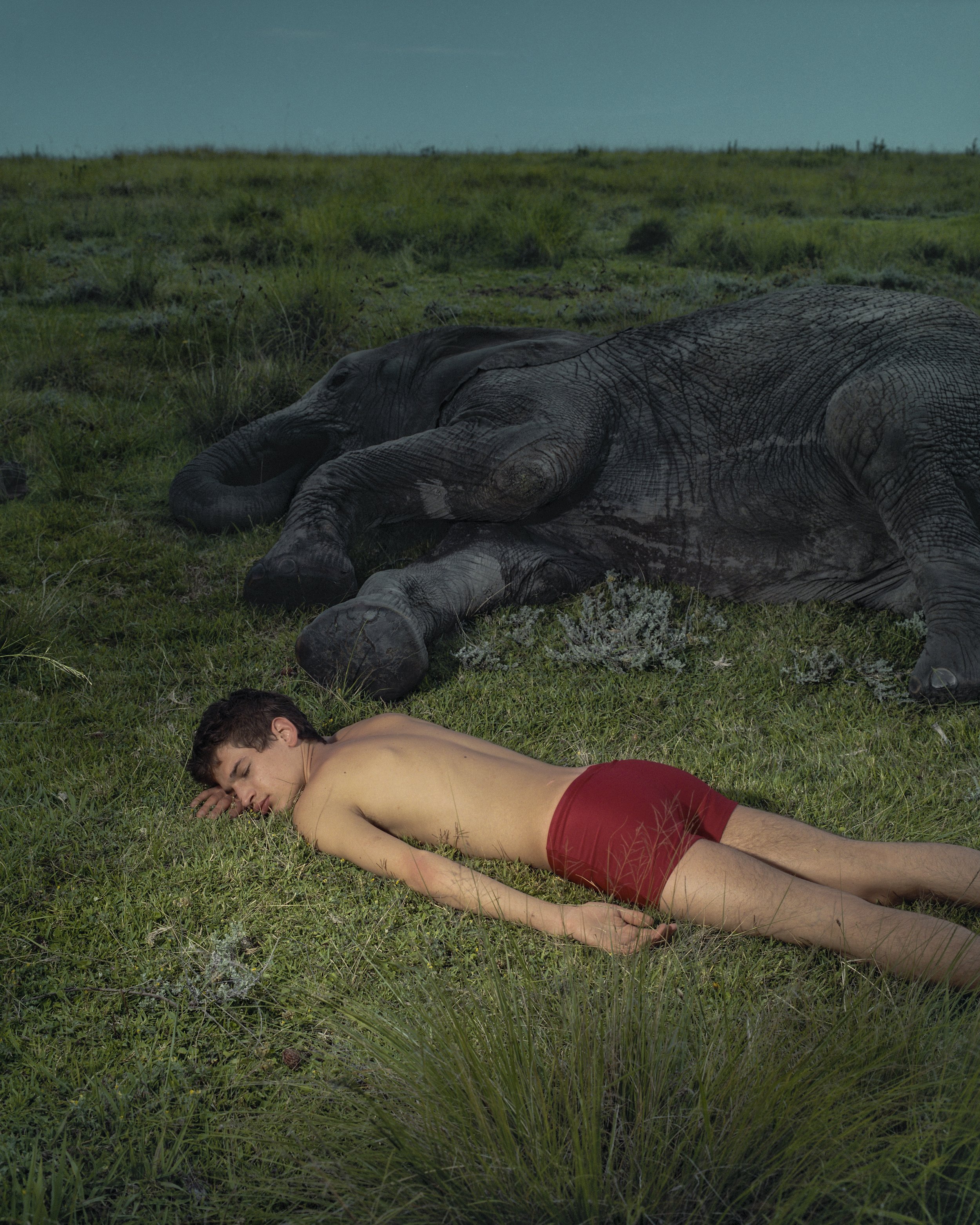 Sleeping With The Elephant_Warwick Saint.jpg