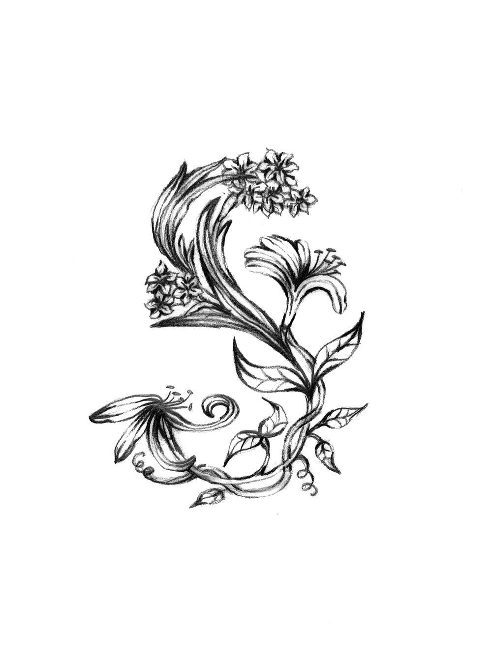 Swoon Floral Design logo sketch by Creme