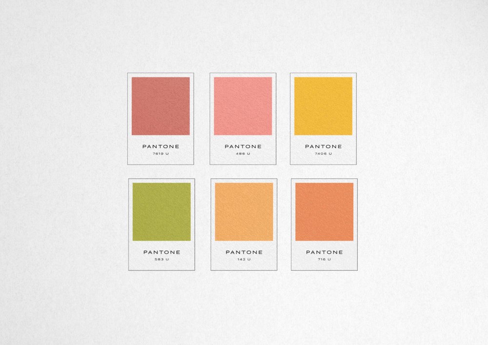 Fresh Life Marketing Color Palette.jpg