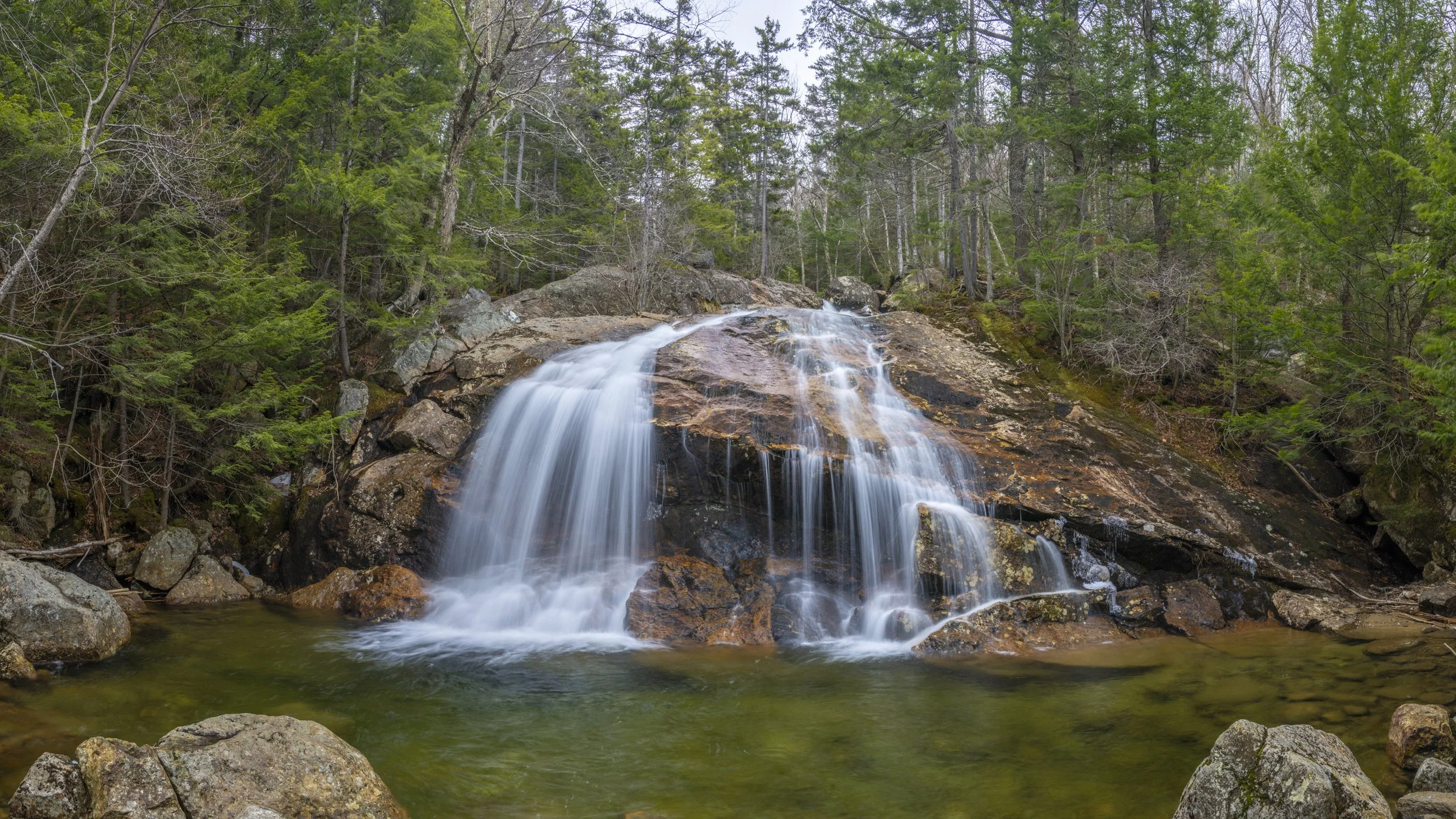 Thompson Falls, White Mts.