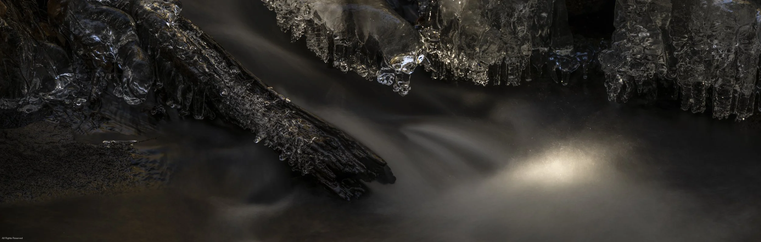 Sunsplash, Deep Forest, Frink Brook