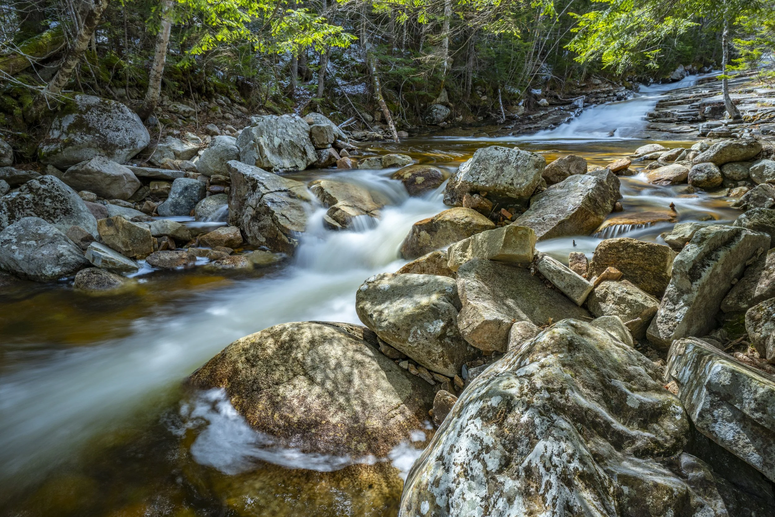 Fawn Pool, Bemis Brook, White Mts.