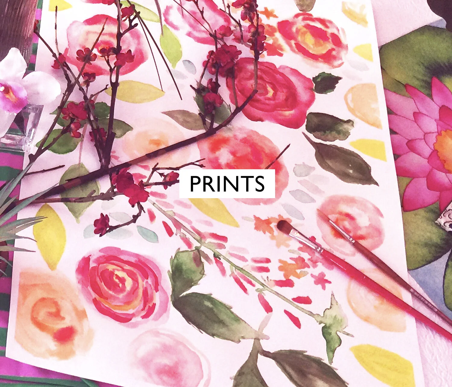 shop_prints copy.jpg