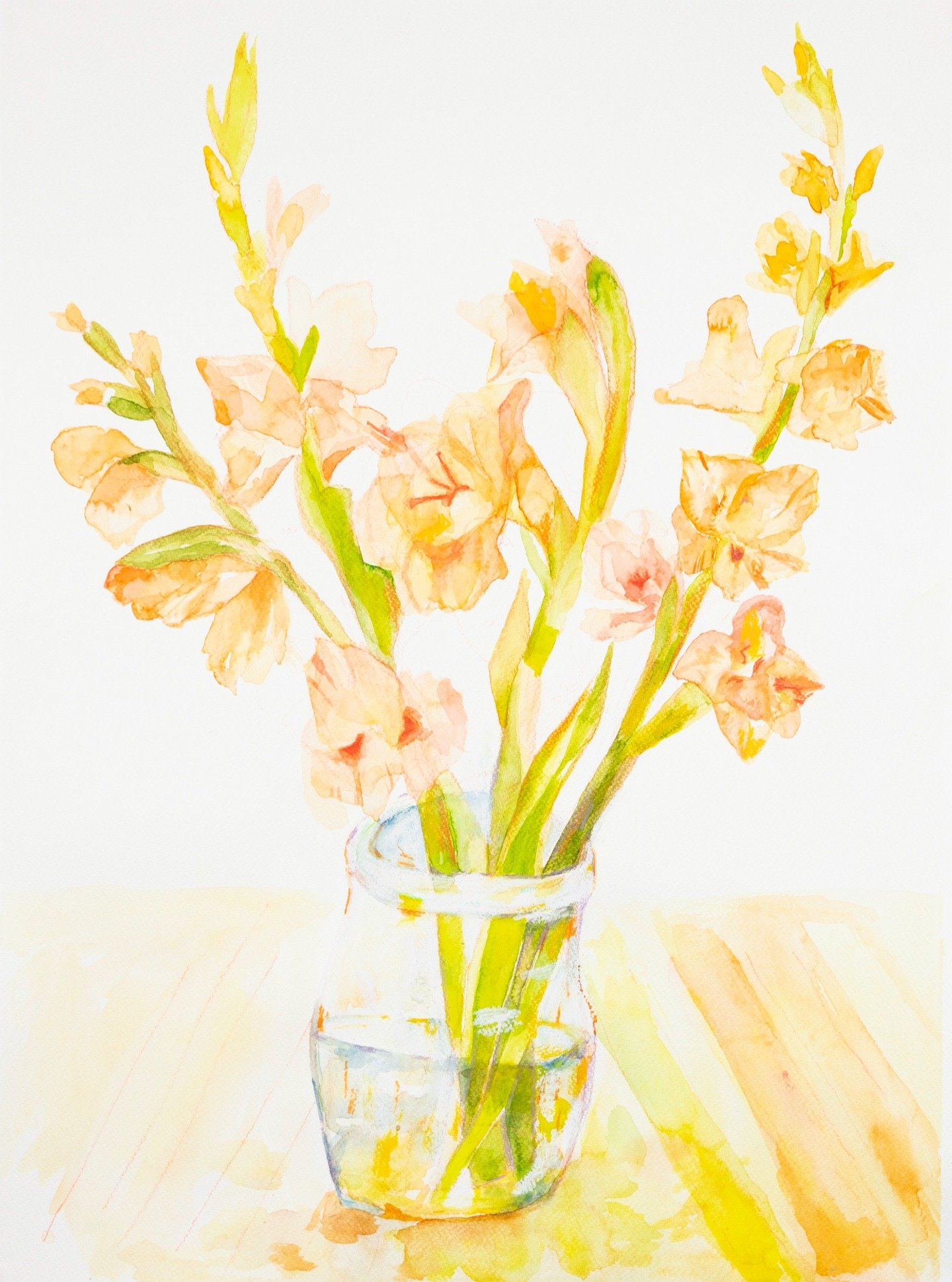 Orange Gladdy Blooms.