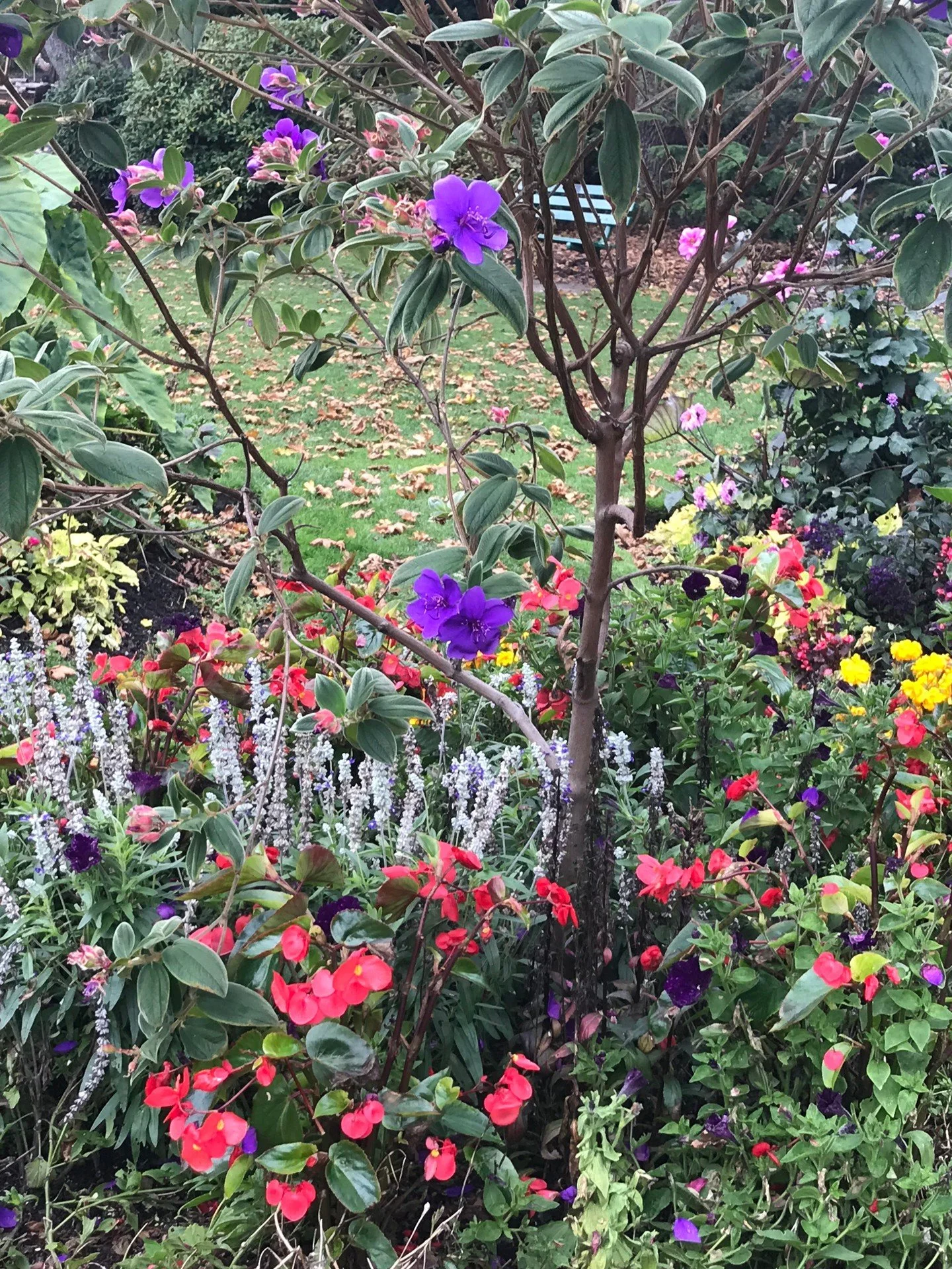 The creativity of winter