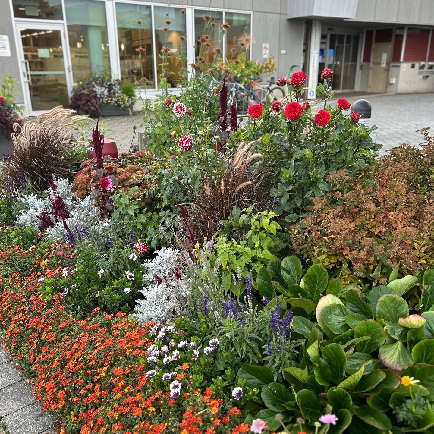 Wildflowers. 
Victoria, BC