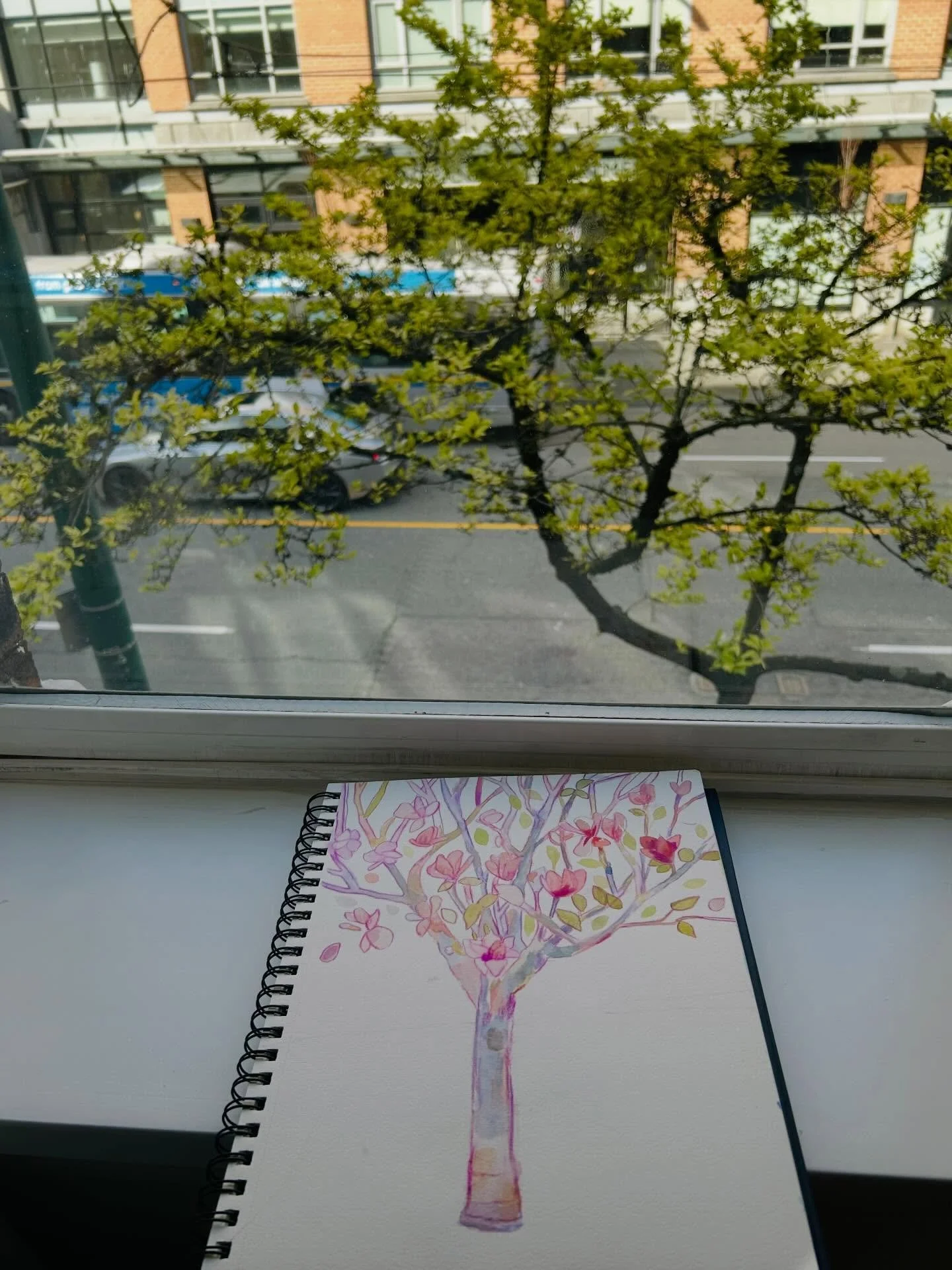 Watercolor selection from my sketchbook for the early spring in Victoria, BC 🌸 I met blooming magnolias, rhododendron, cherry blooms and the most kind people. #magnolia #rhododendron Thank you!!