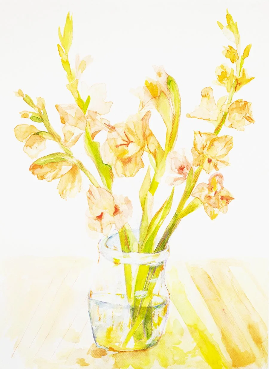 Gladiolus