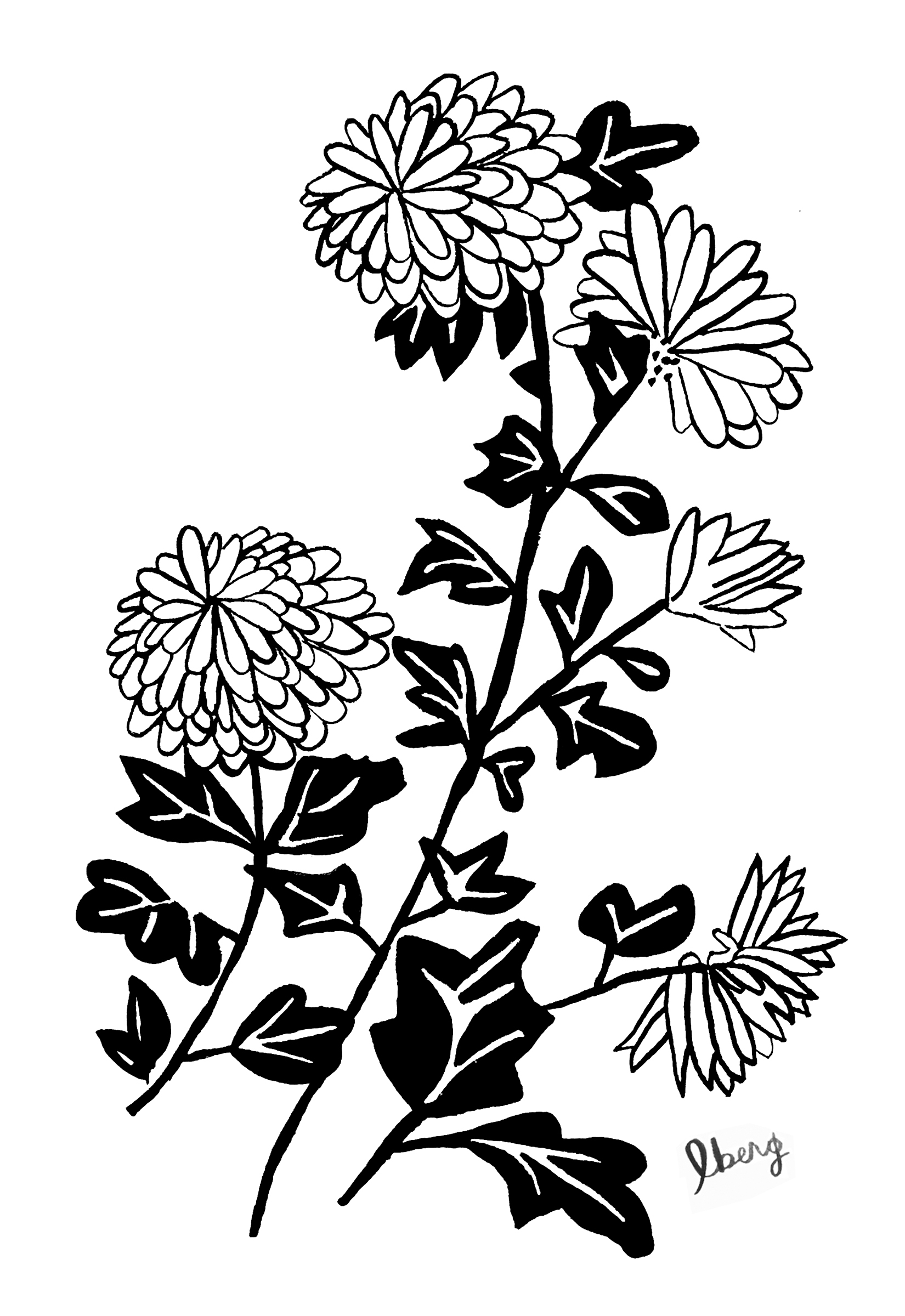 chrysanthemums.png