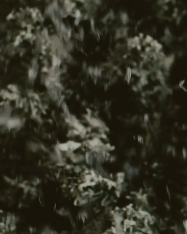 What you get with a Luxury Black Christmas Mini 👇🏽

✨ luxe black + gold studio setup
🕒 30 minutes of pure magic
📸 6 high-res edited photos
💰 $300 &mdash; no surprise

Quick. Effortless. Unapologetically chic.
Perfect for creators, couples, and f