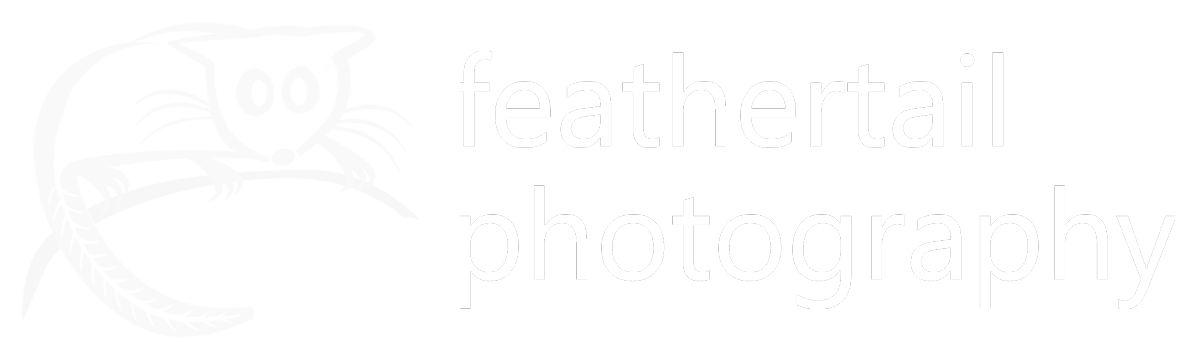 Feathertail Photography