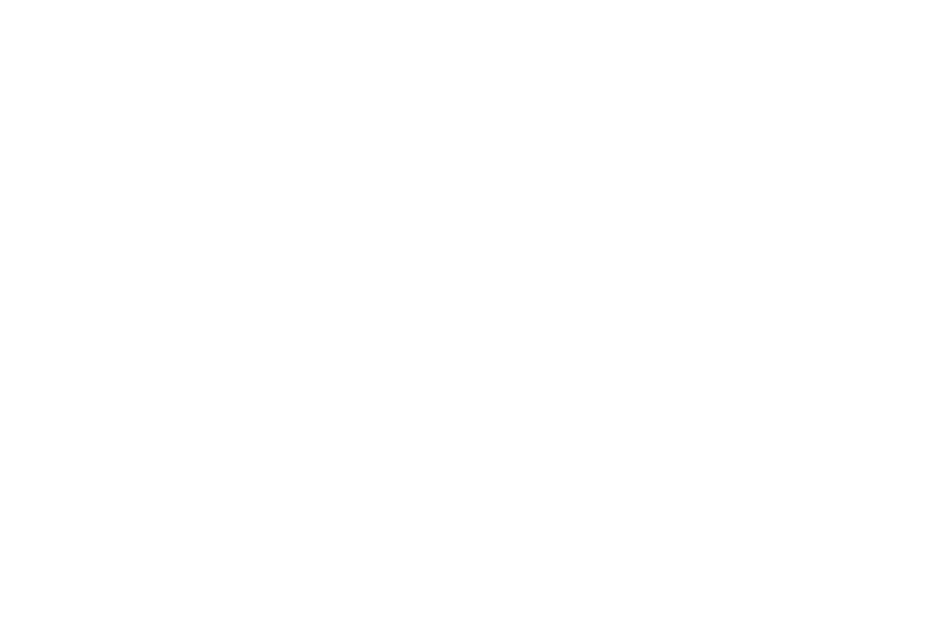The Fan Fest Society