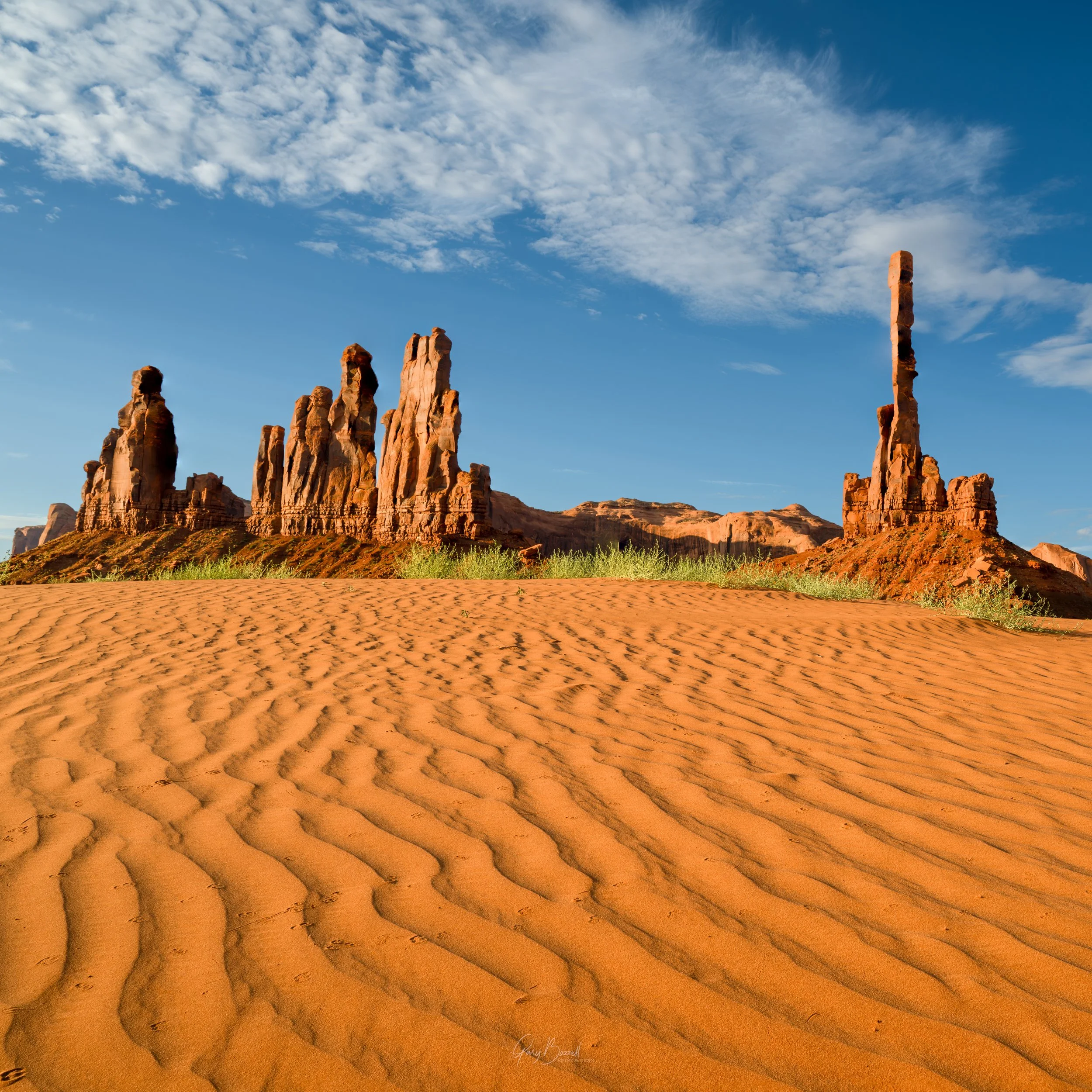 Monument Valley 2023 - Focus Stacked Square Crop-1.jpg