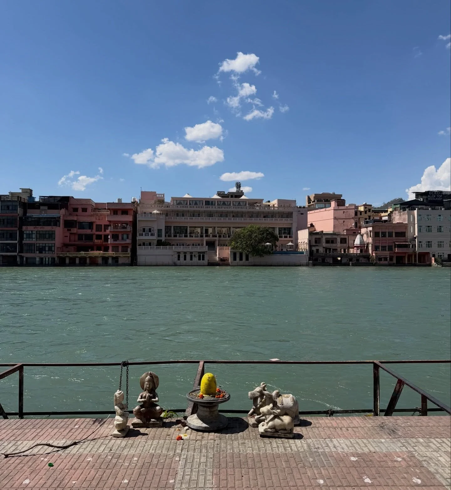 Our Saṃkalpa Retreat is only 9 days away now, we cannot wait to share so many beautiful places with you all, and explore the sacred city of Haridwar 🌞🪷✨🤍🙏 Photos captured by @kamalaveda on a wander around the many streets, ghats, temples, and ash