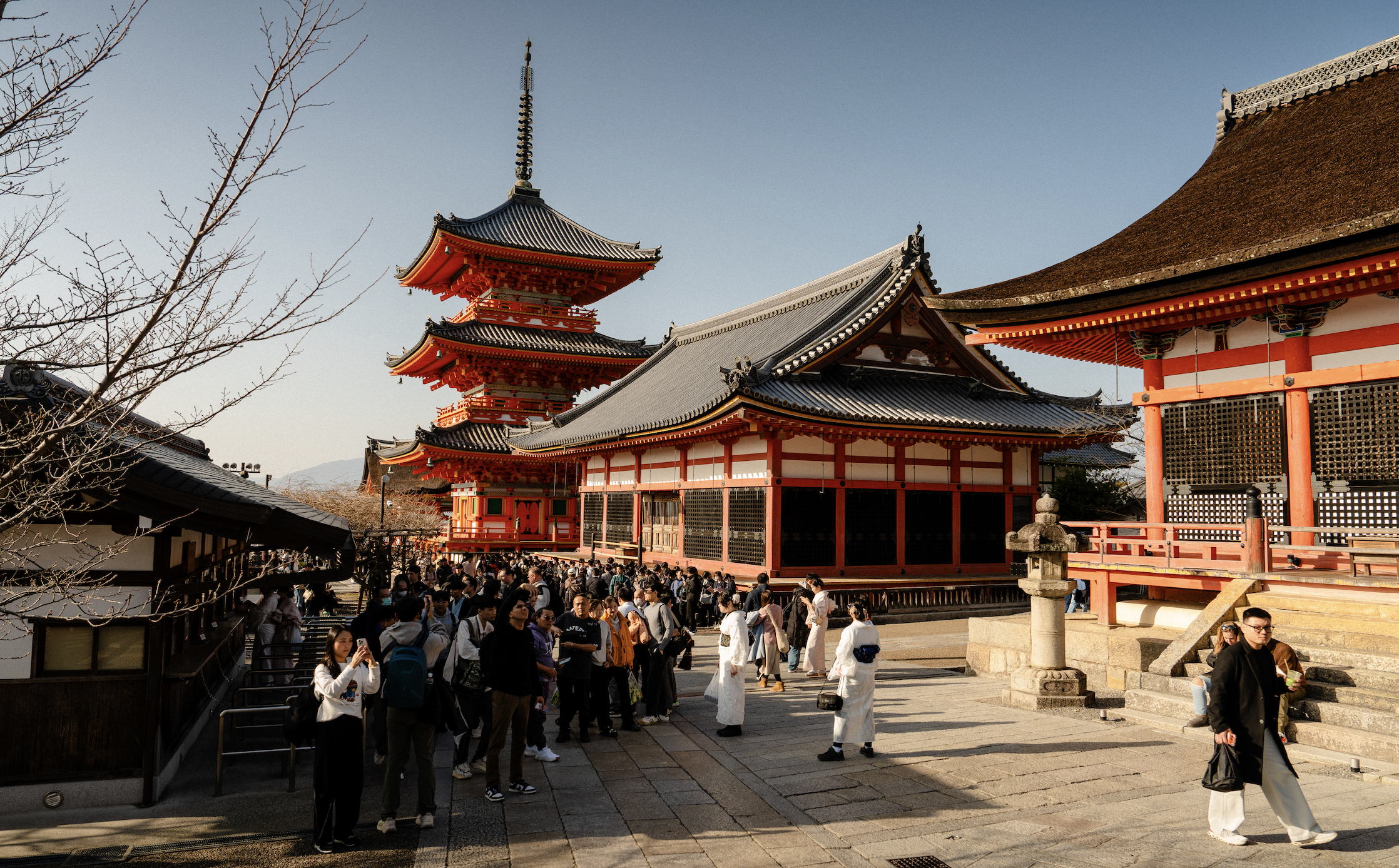 Screen Shot 2026-01-19 at 9.27.21 PM.png