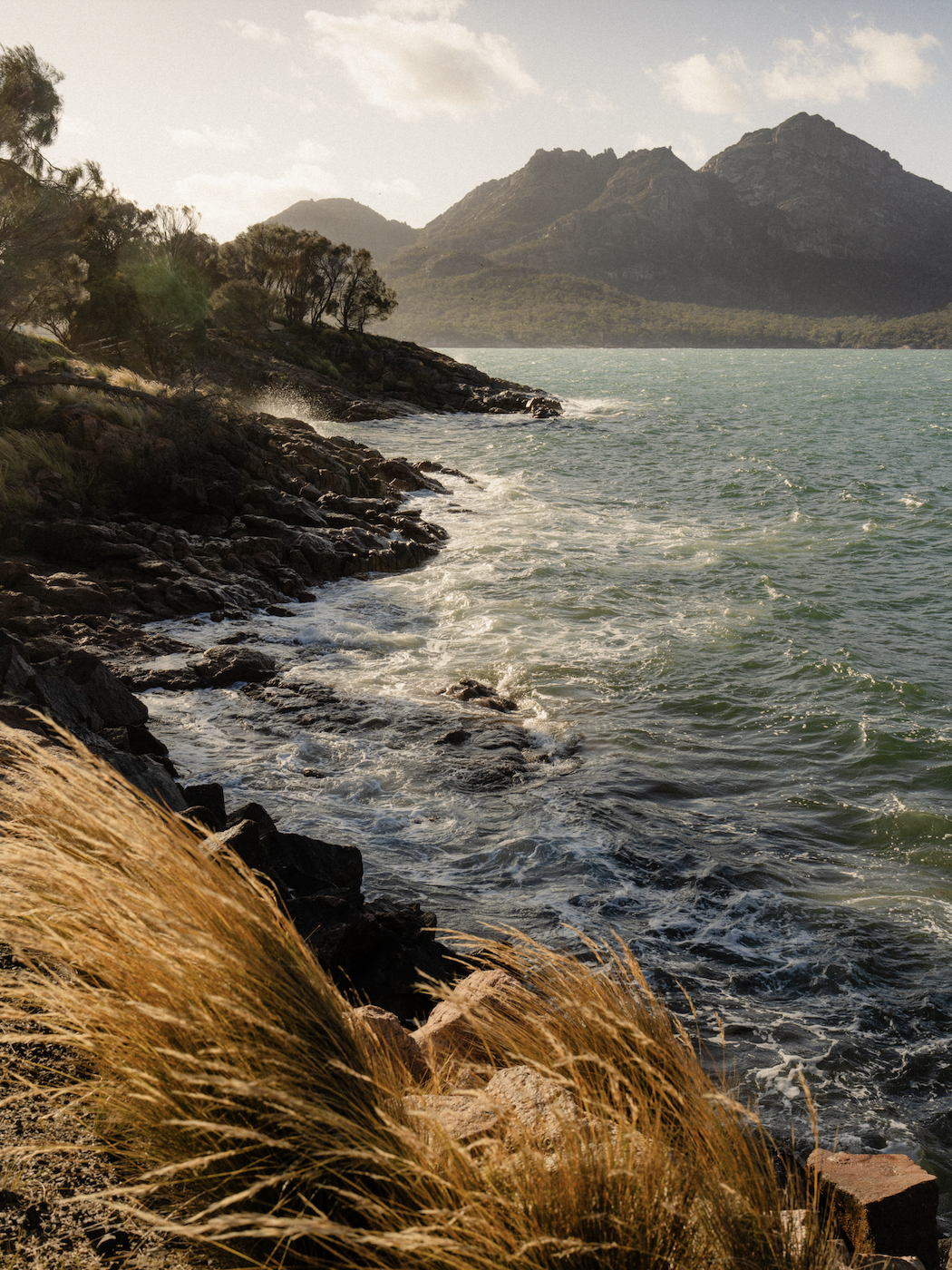 Screen Shot 2026-01-07 at 12.05.43 PM.png